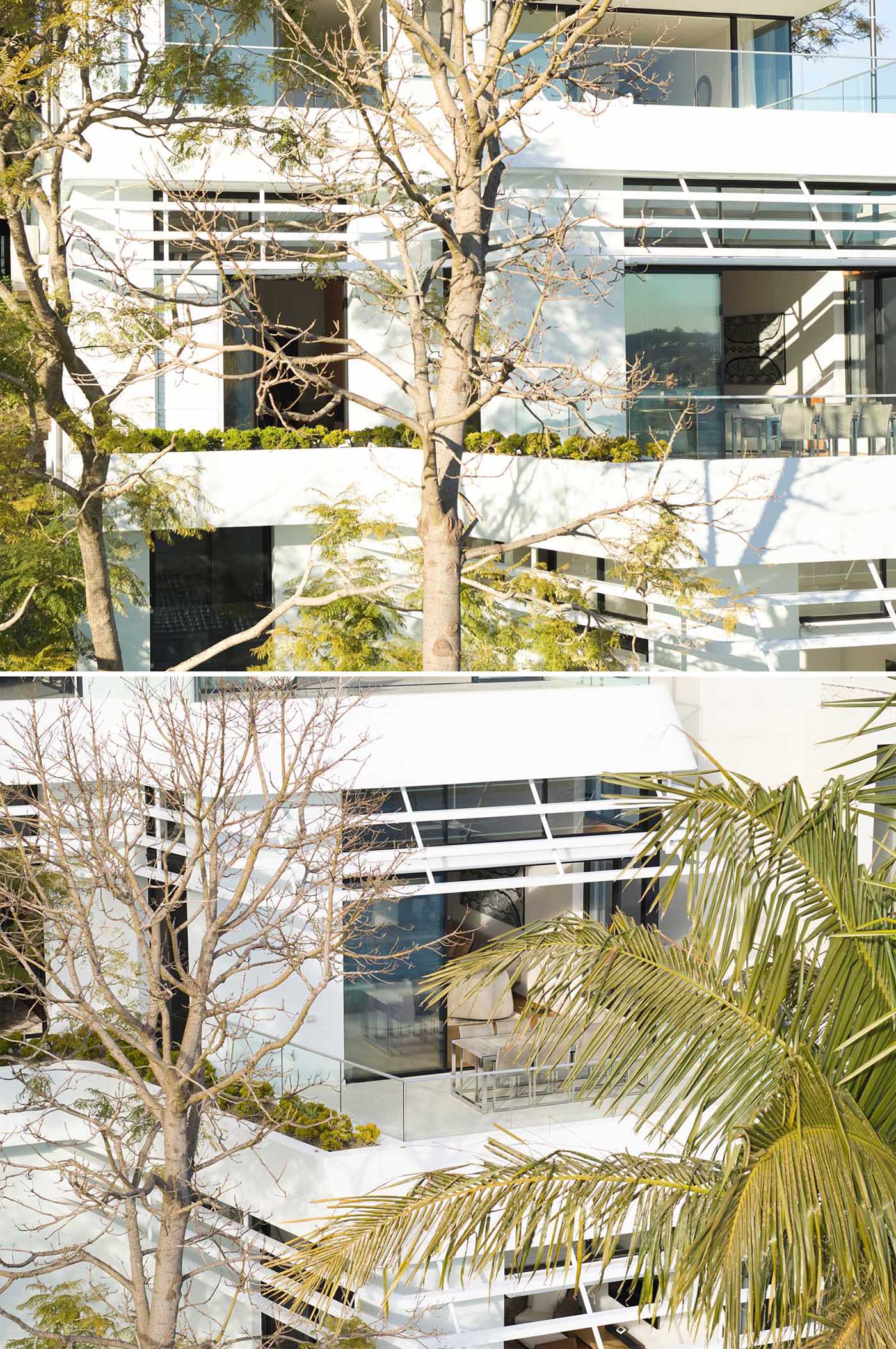 White balconies of this modern home are softened by vegetation.