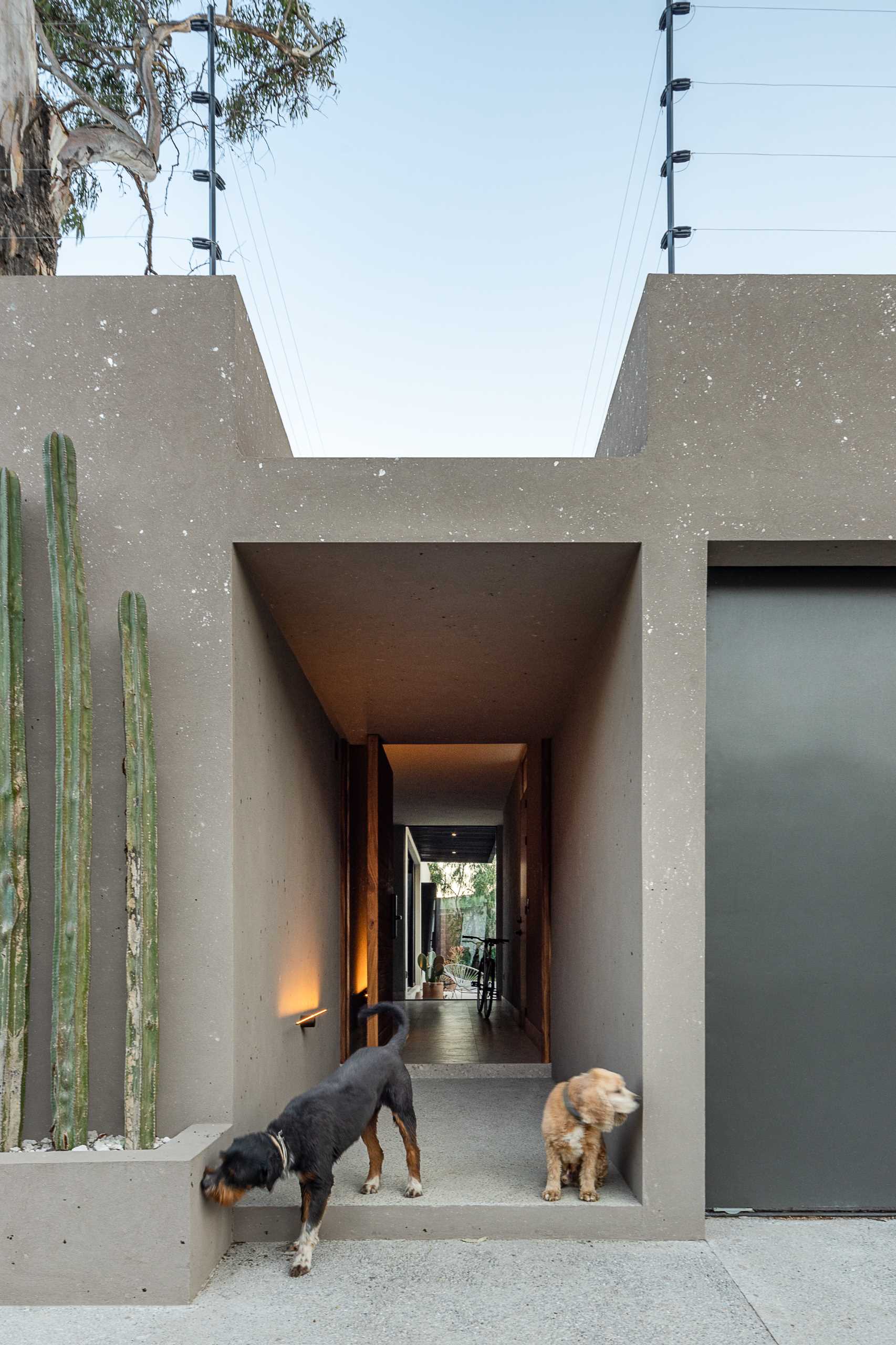 This modern home is built on a site with an irregular shape, however, from the street, it appears as a straight horizontal home, with a large gate and a planter filled with cacti. Separating these two area is a covered path to the front door.