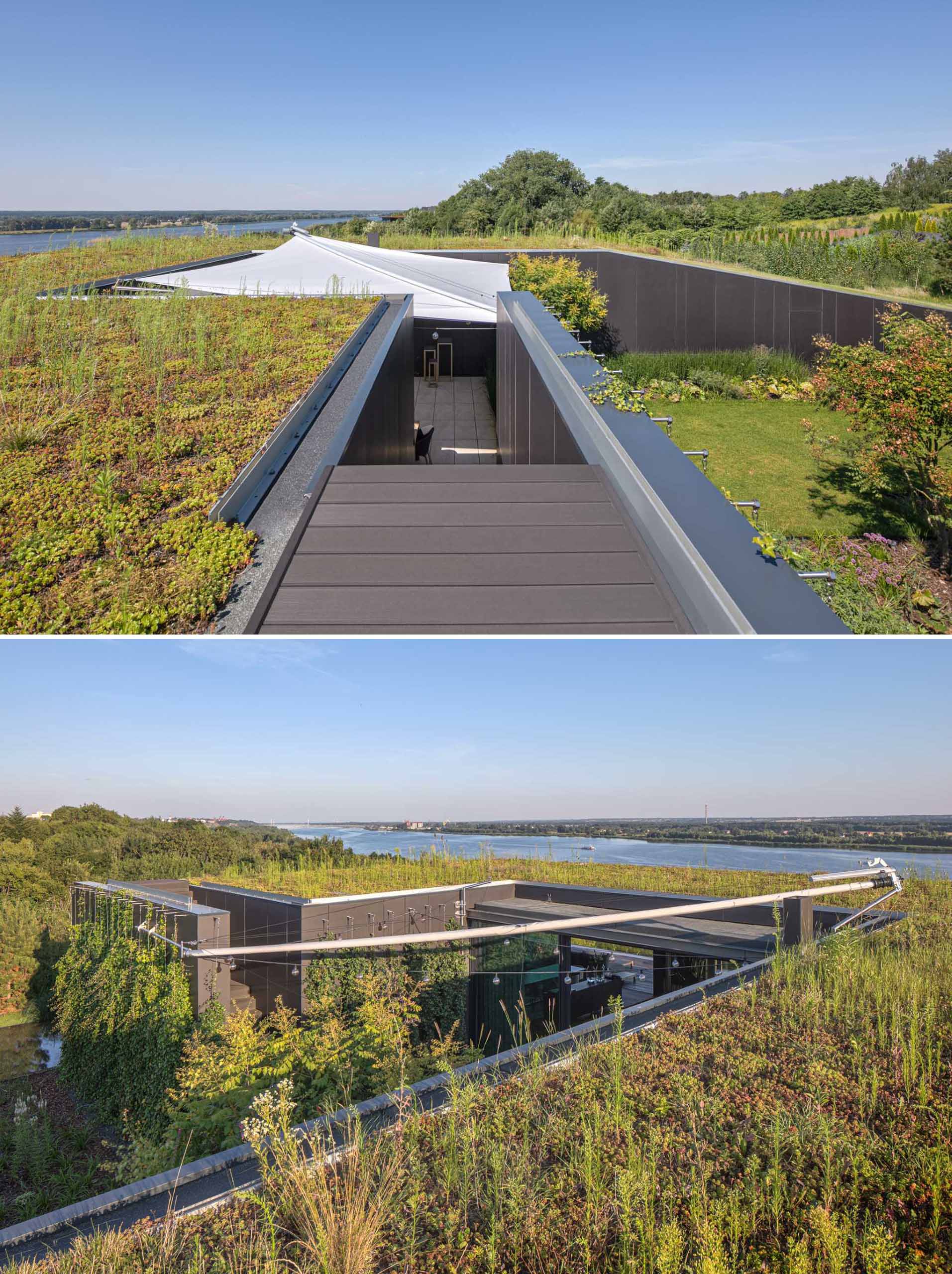 A modern house with a green roof that extends the garden.