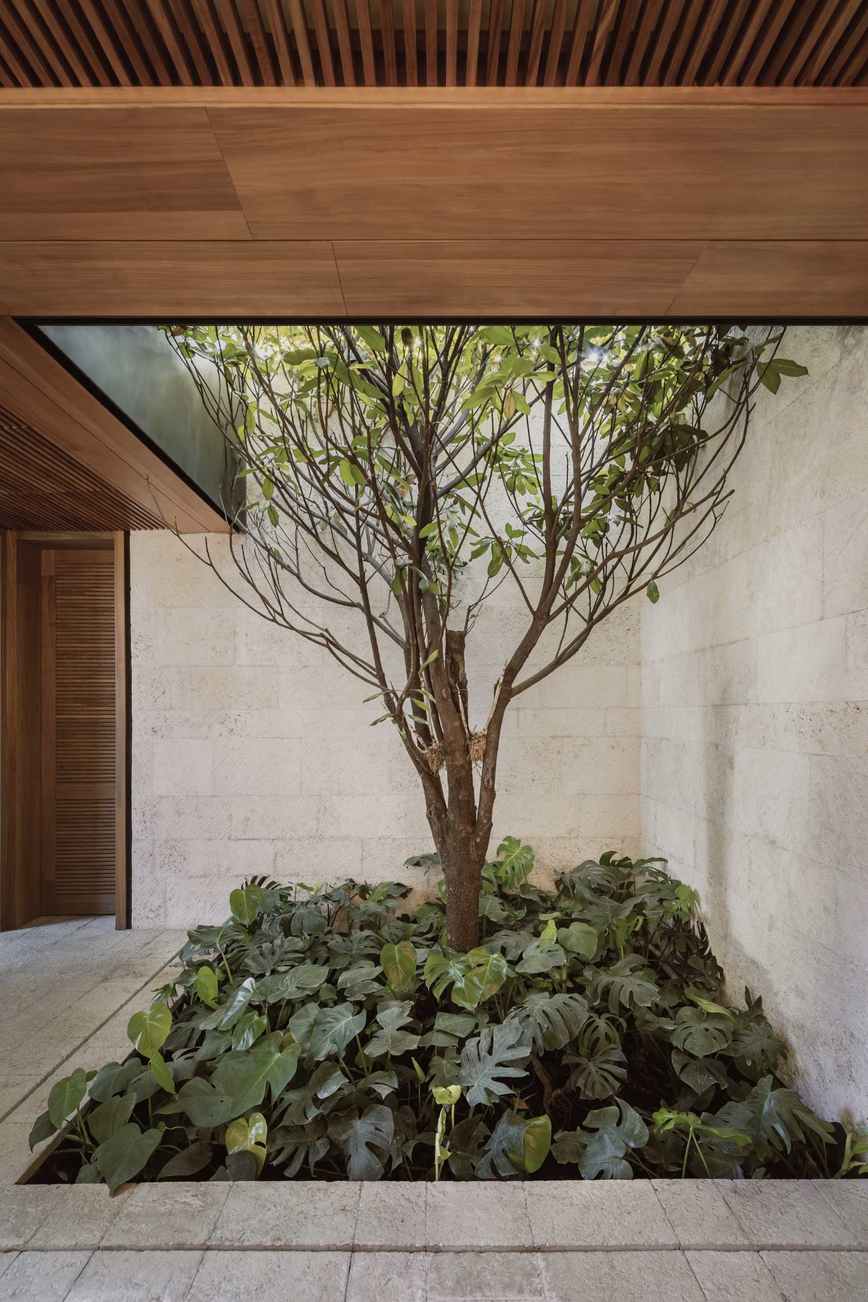 The exterior of this modern house features concrete, wood, and metal, as well as landscaped pathways and gardens.