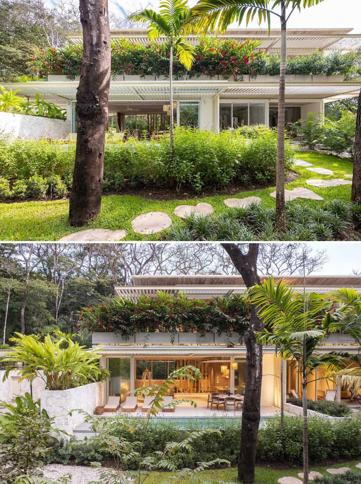 Planter boxes with large tropical plants were placed on the second-floor of this modern home to create privacy and to frame the views.