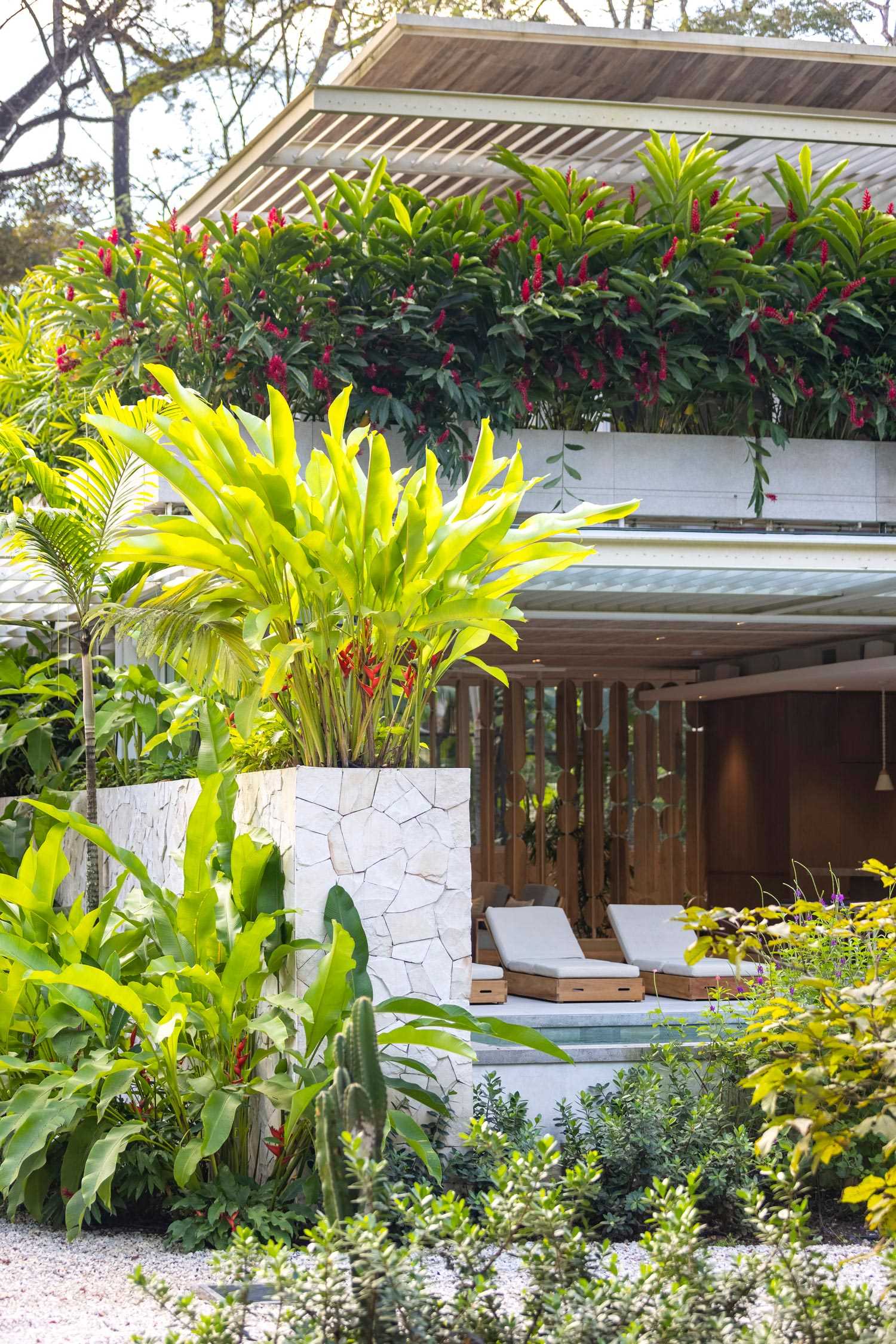 Planter boxes with large tropical plants were placed on the second-floor of this modern home to create privacy and to frame the views.