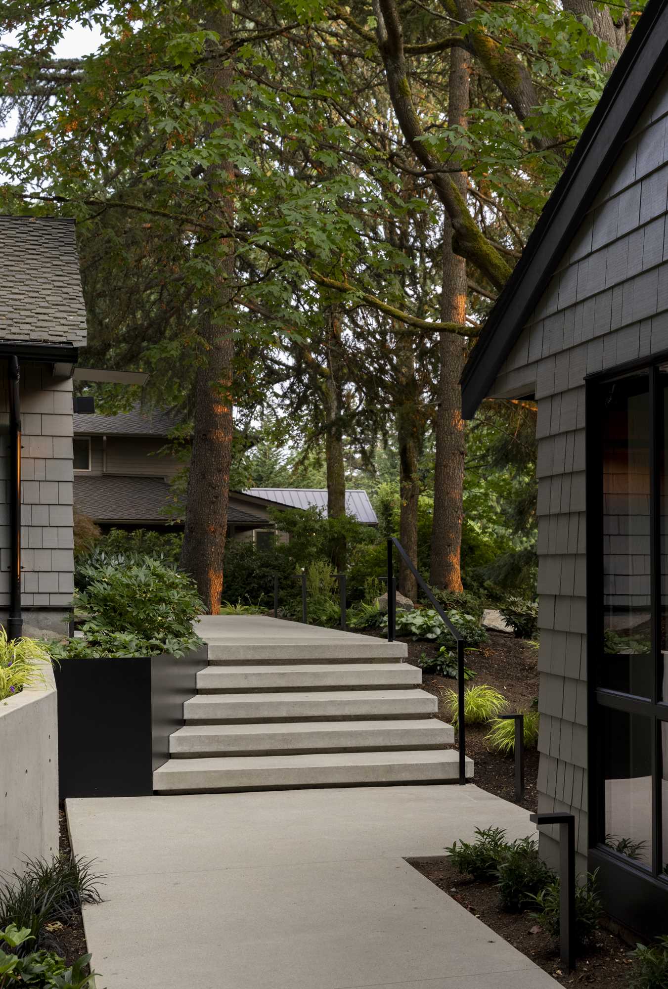 Concrete steps, steel planters, outdoor lighting, and angled landscape walls guide guests through the tree-filled property to the front door of this contemporary home.