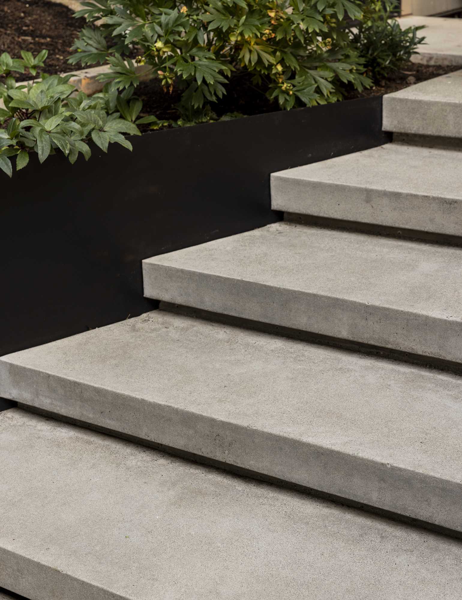 Concrete steps, steel planters, outdoor lighting, and angled landscape walls guide guests through the tree-filled property to the front door of this contemporary home.