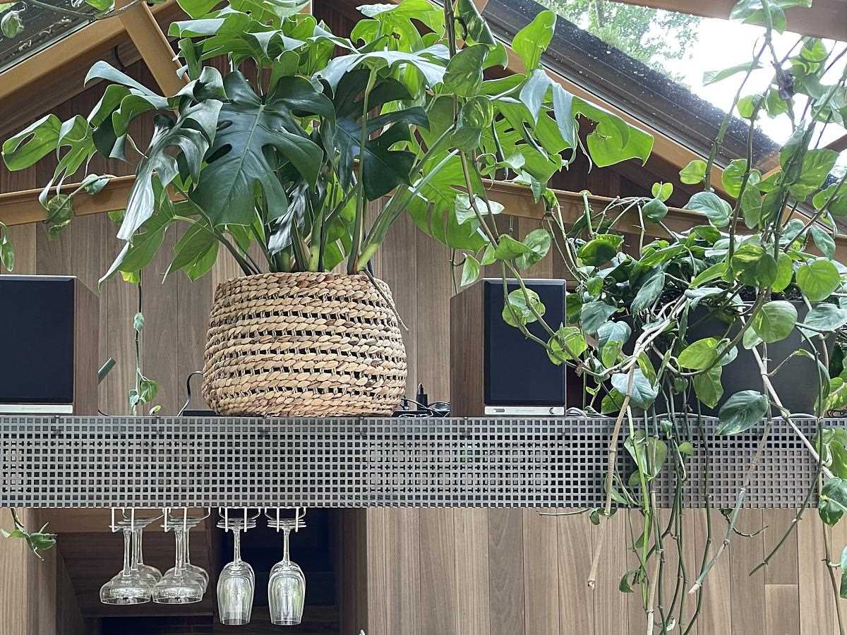 A modern kitchen with a metal shelf that displays plants.