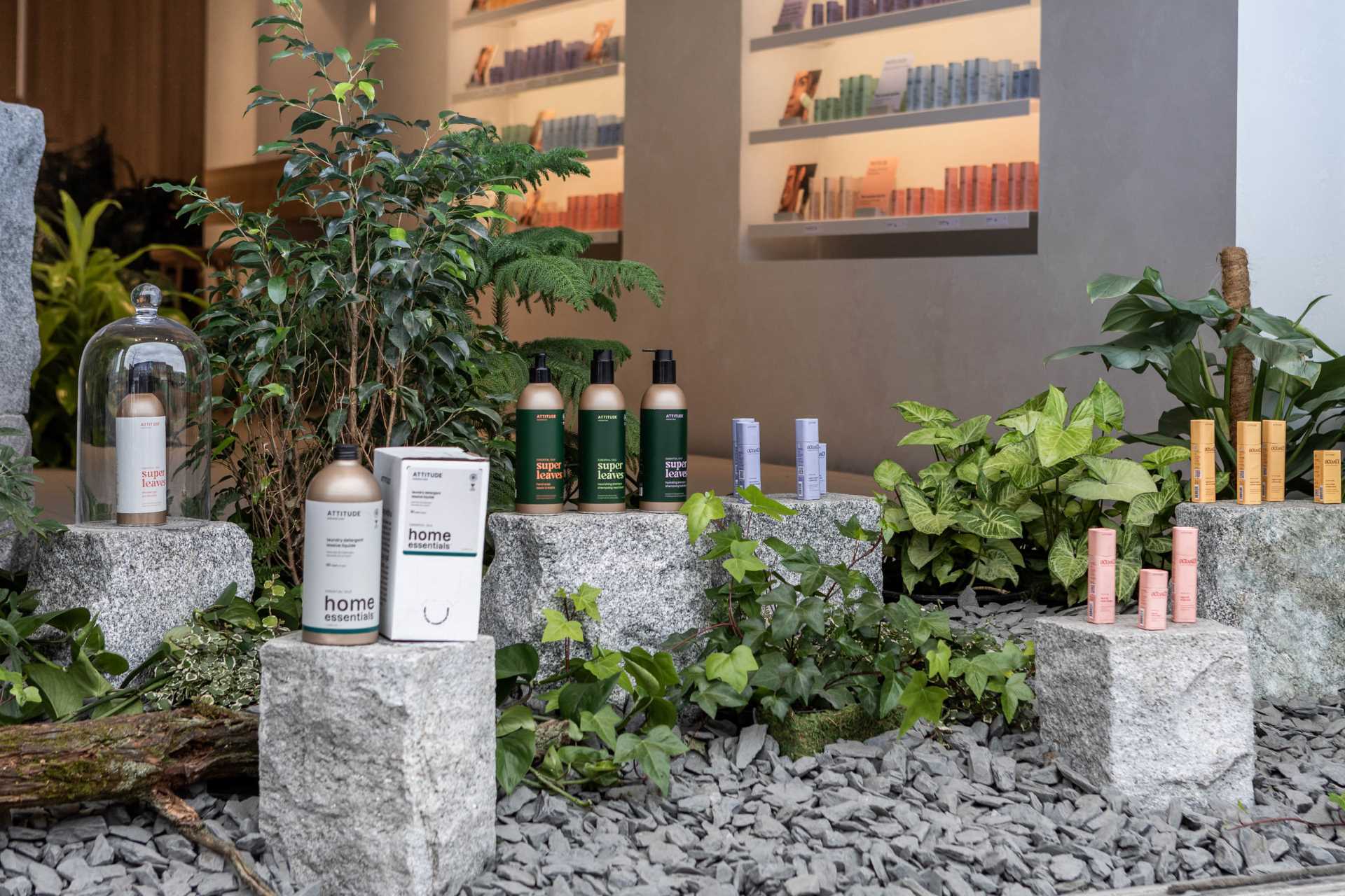 A Large Sliding Window Offers A Look Inside This Nature Inspired Store A Large Sliding Window Offers A Look Inside This Nature Inspired Store