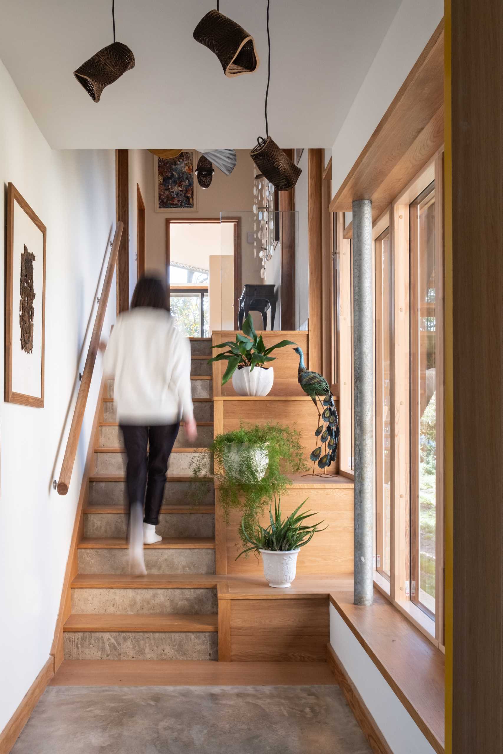 Wood stairs that have shelves with plants displayed.