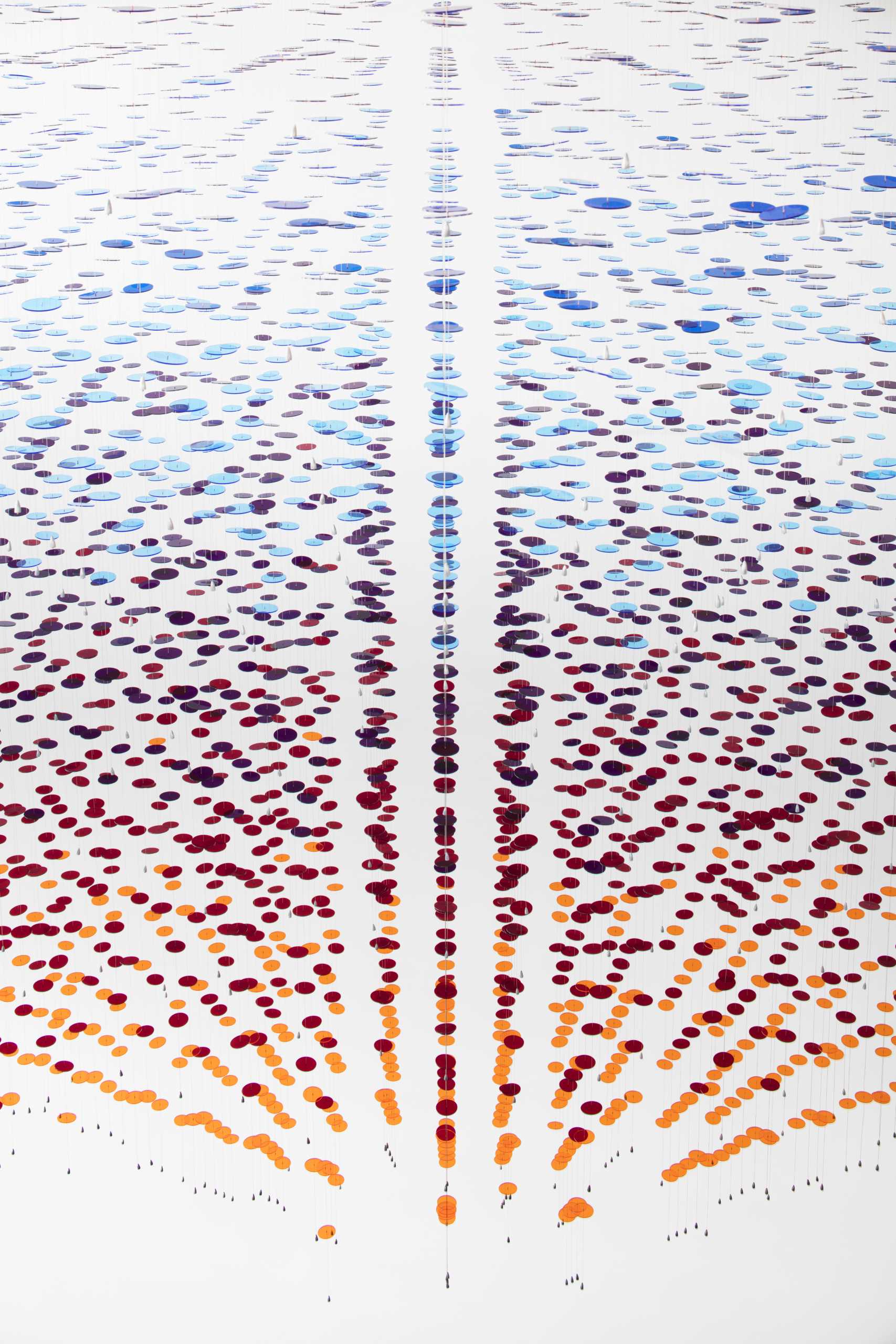 یک نصب هنری سفارشی در دهلیز لابی از 8000 دیسک رنگارنگ که از 650 کابل سیمی آویزان شده اند ساخته شده است.