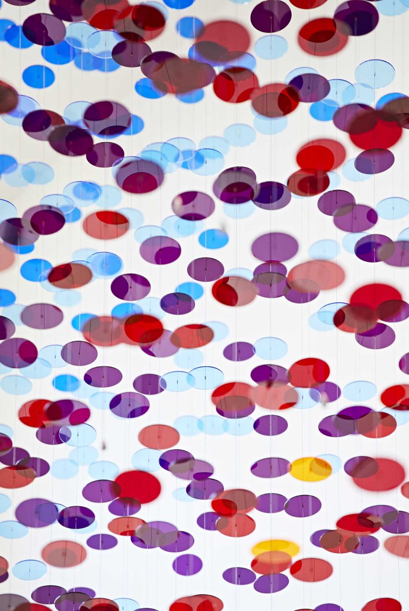 8,000 Discs Were Suspended To Create This Artistic Installation