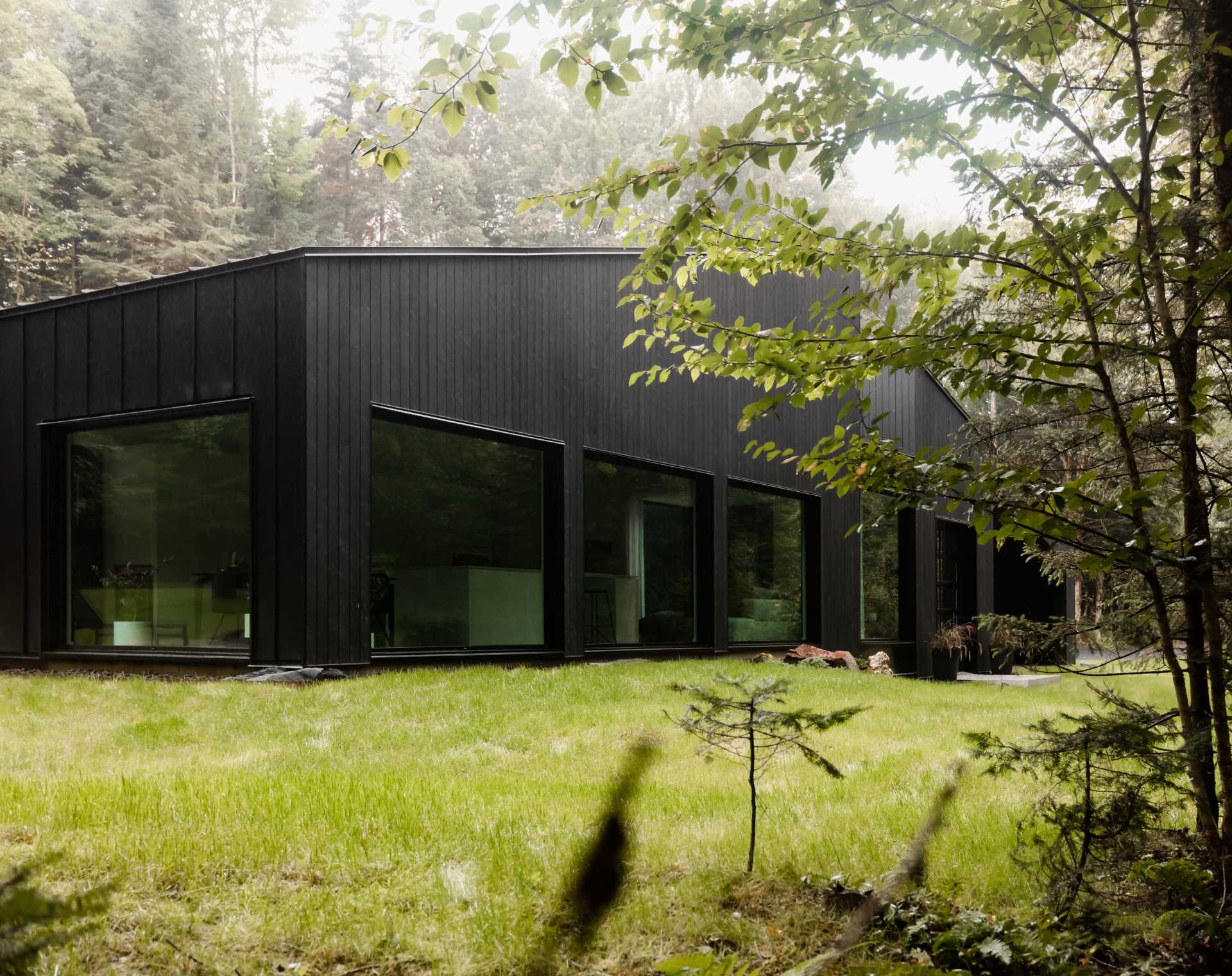 This modern home has a black wood exterior, with black window frames providing consistency to the design.