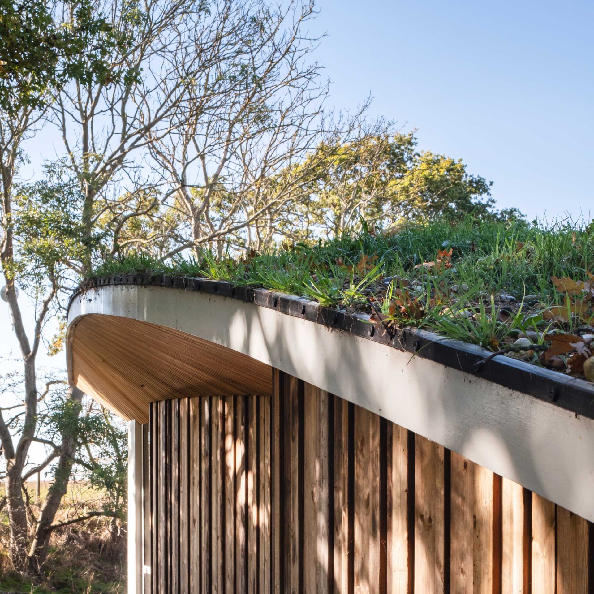 A modern cabin with overhanging wood-lined eaves and curved green roofs.