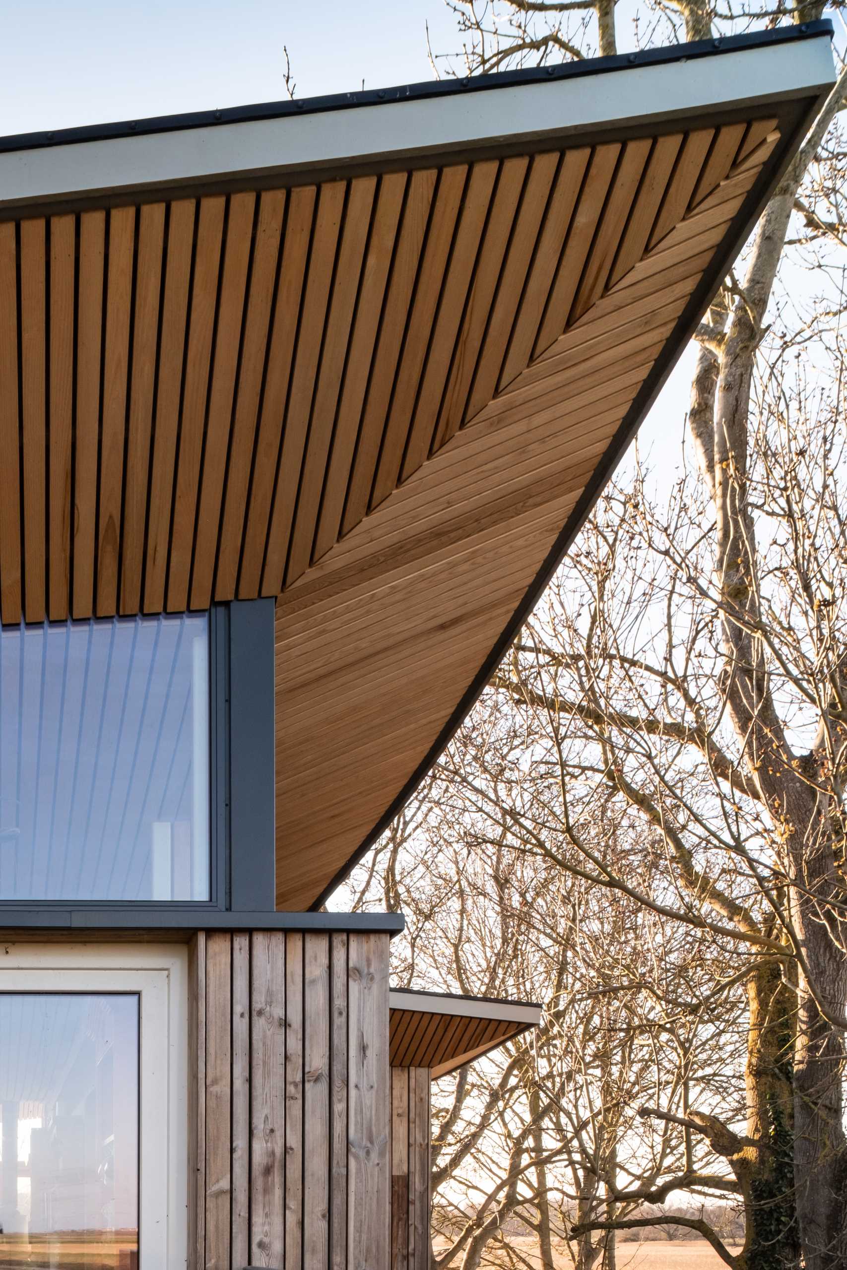 A modern cabin with overhanging wood-lined eaves.