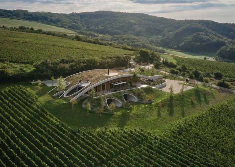 A Curved Green Roof Allows This Winery To Blend Into The Landscape