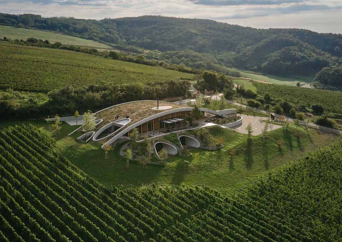 A modern winery that's built with a curved green roof to allow it to blend in with the landscape.