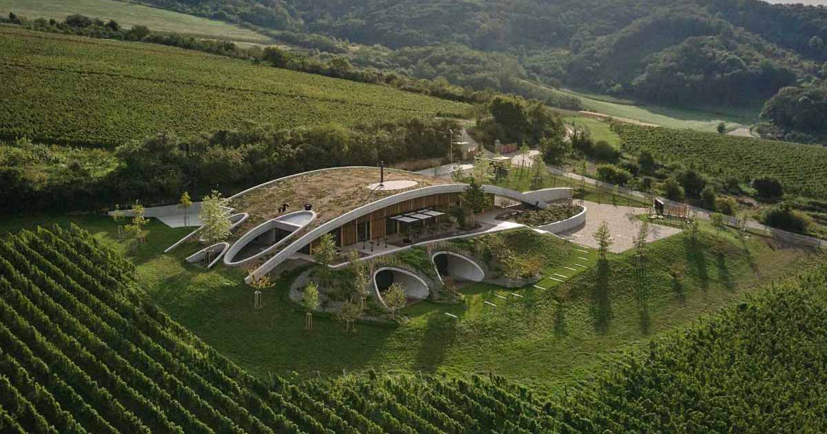 A Curved Green Roof Allows This Winery To Blend Into The Landscape