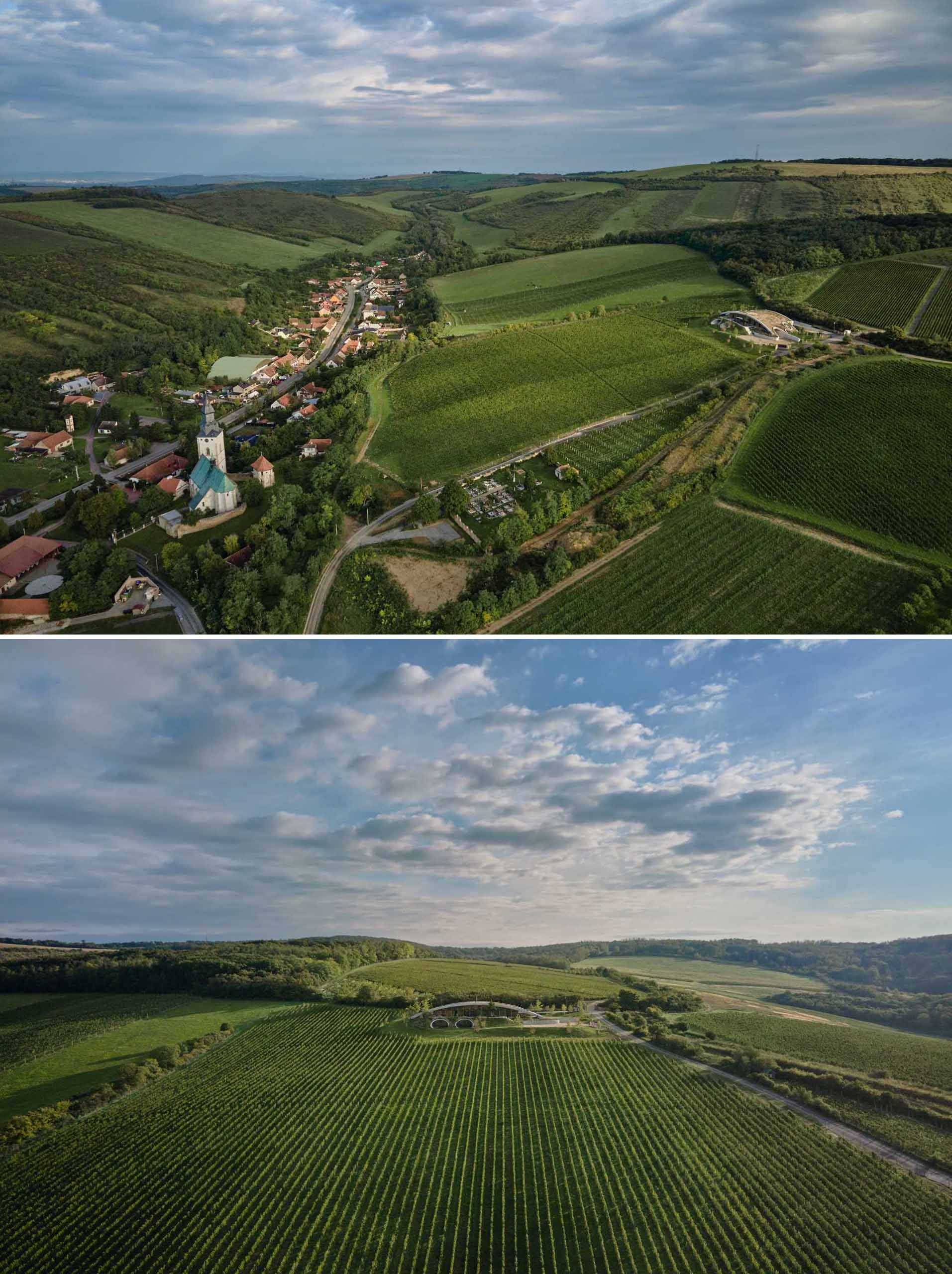 A modern winery that's built with a curved green roof to allow it to blend in with the landscape.