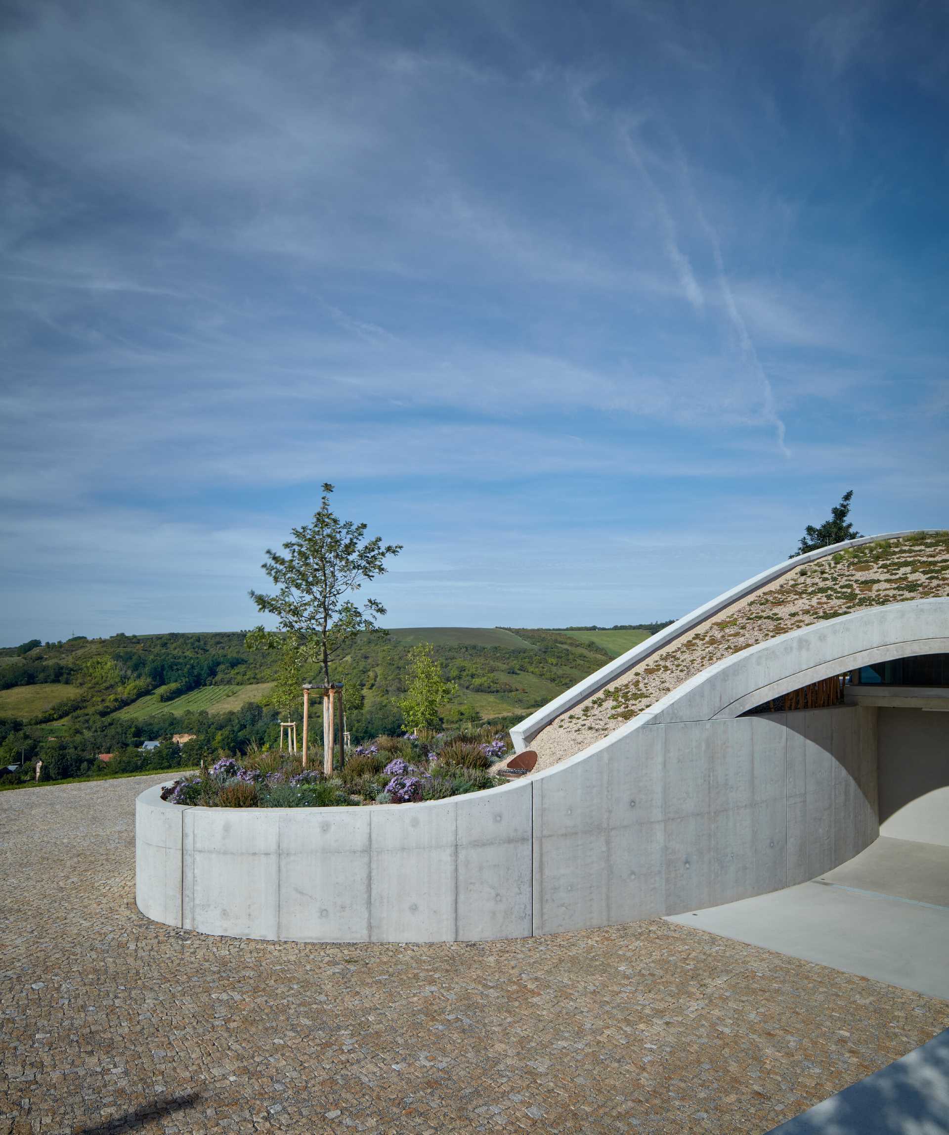 A modern winery that uses exposed concrete, glass, metal, oak, and acacia wood to support the organic form of the building.