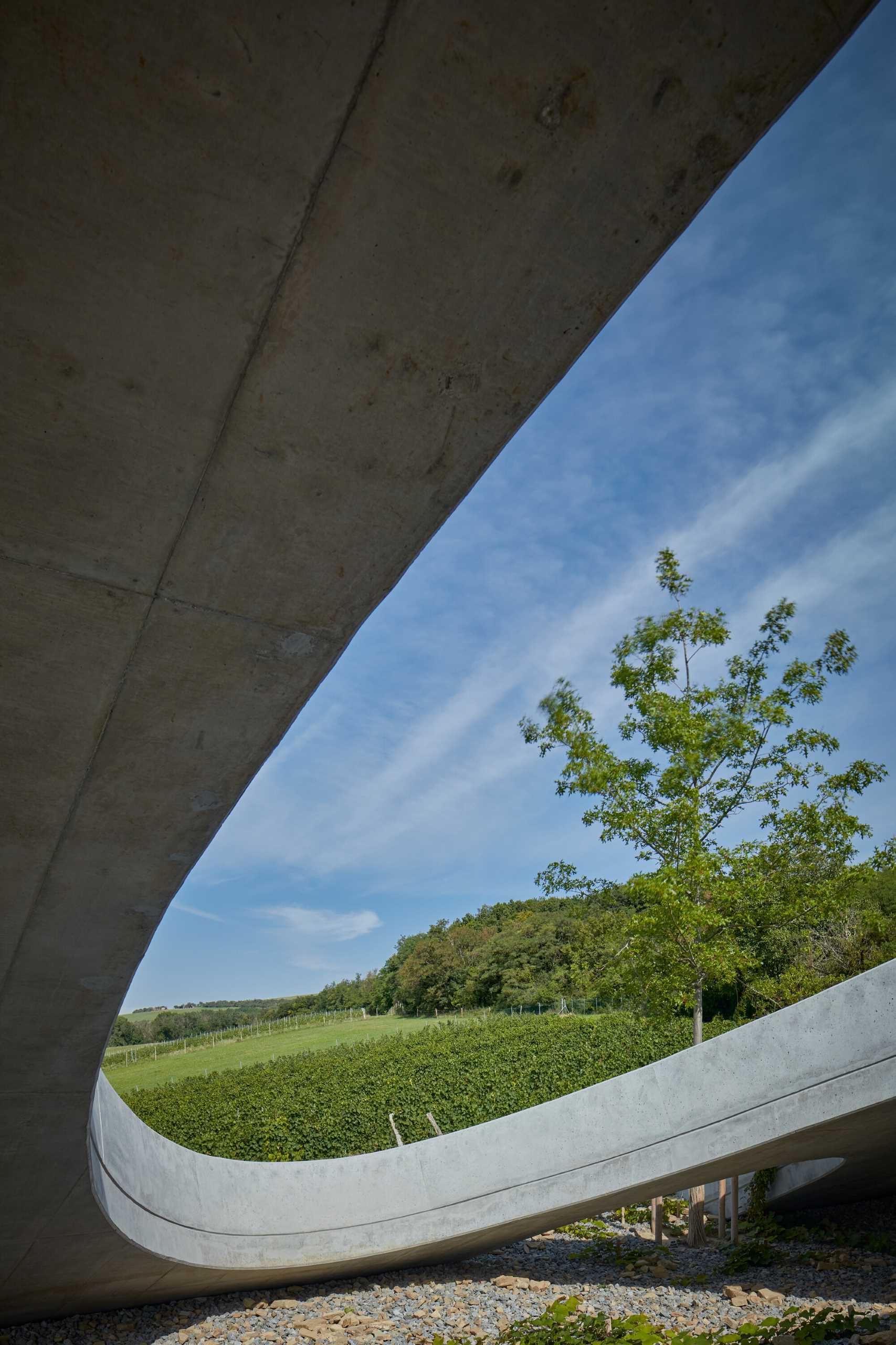 A modern winery that uses exposed concrete, glass, metal, oak, and acacia wood to support the organic form of the building.