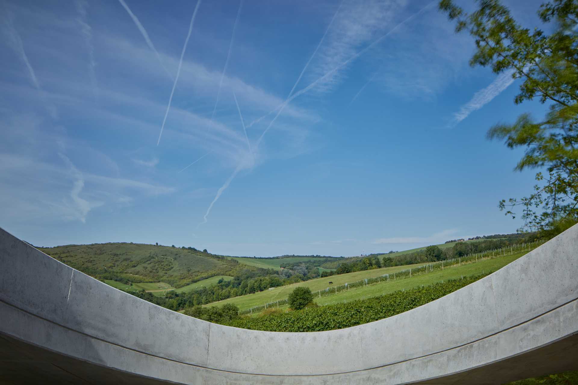 A modern winery that uses exposed concrete, glass, metal, oak, and acacia wood to support the organic form of the building.