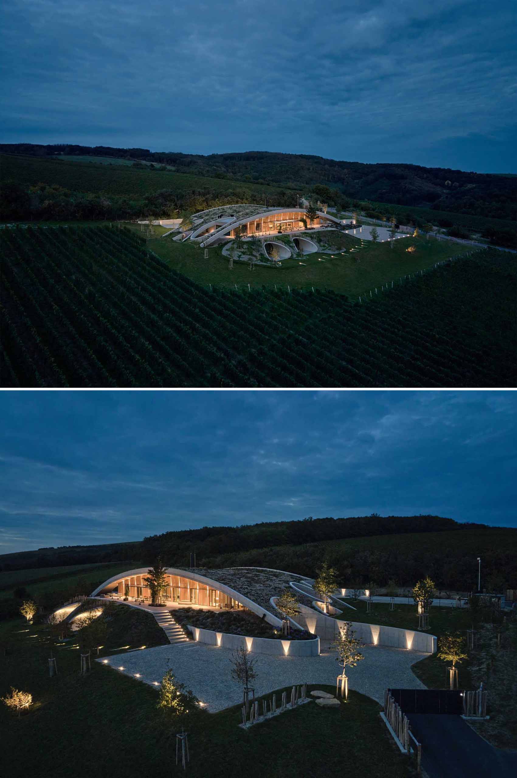 A modern winery has exterior lighting that glows in the night landscape.