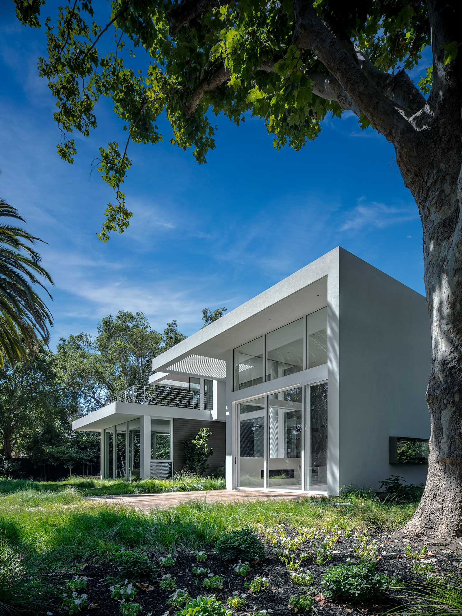 During the day, the large windows allow the natural daylight to filter through to the interior of this modern home.