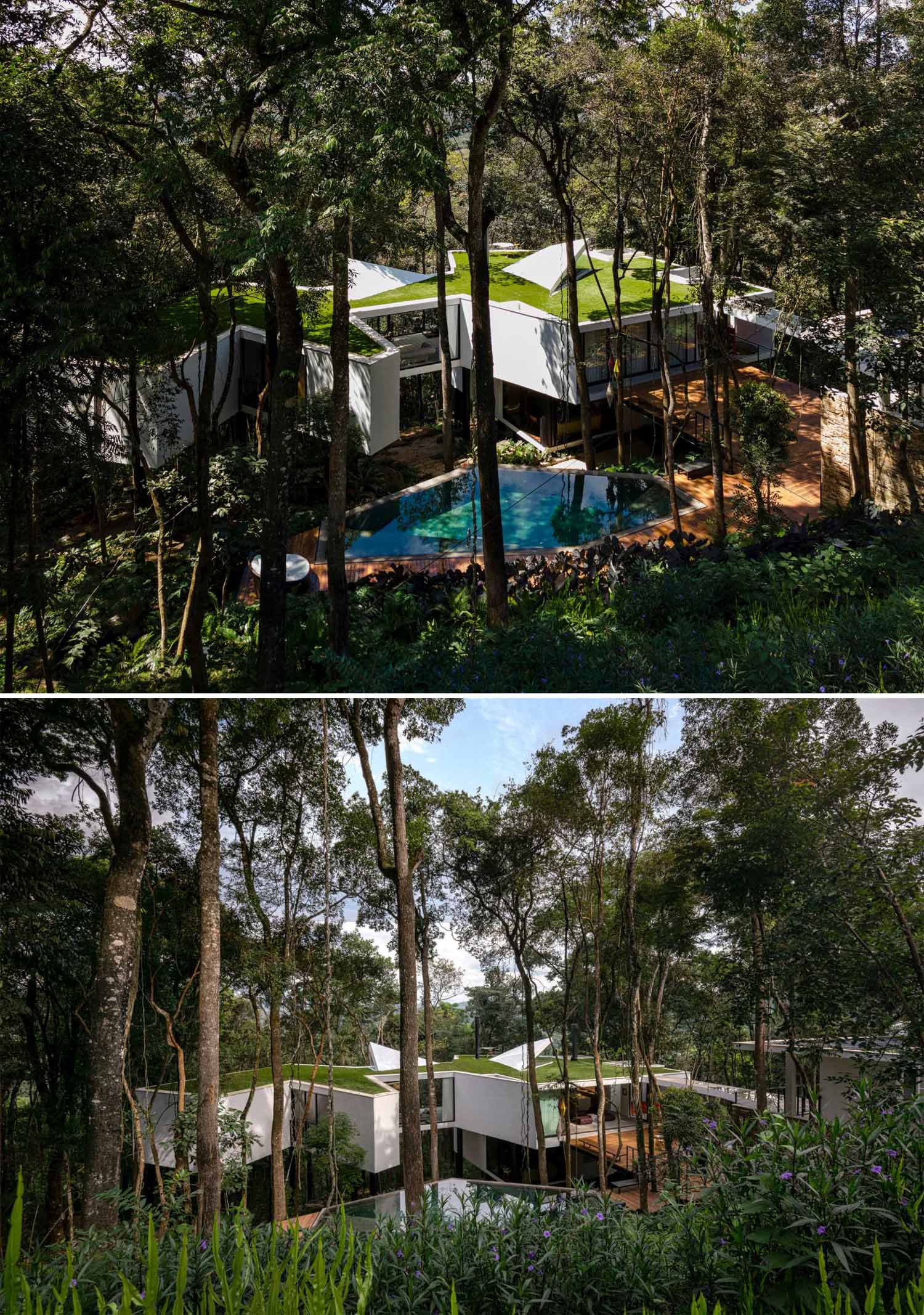 A modern house with a white exterior sits atop black stilts in the rainforest of Nova Lima, Brazil.