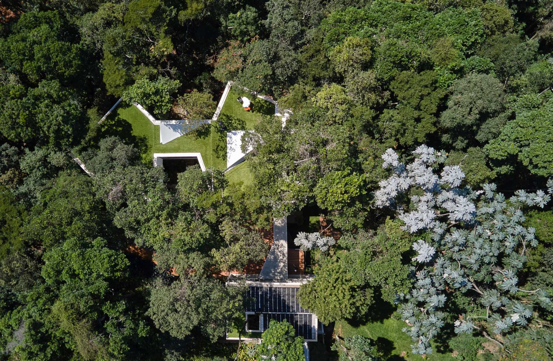 A modern house with a white exterior sits atop black stilts in the rainforest of Nova Lima, Brazil.