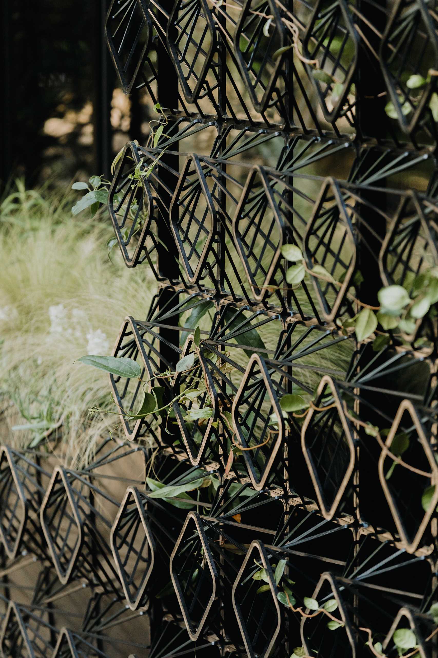 A modern black house with a sculptural facade designed to let plants grow on the exterior over time.