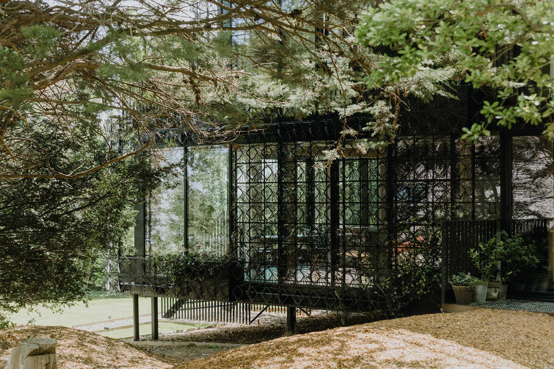 A modern black house with a sculptural facade designed to let plants grow on the exterior over time.