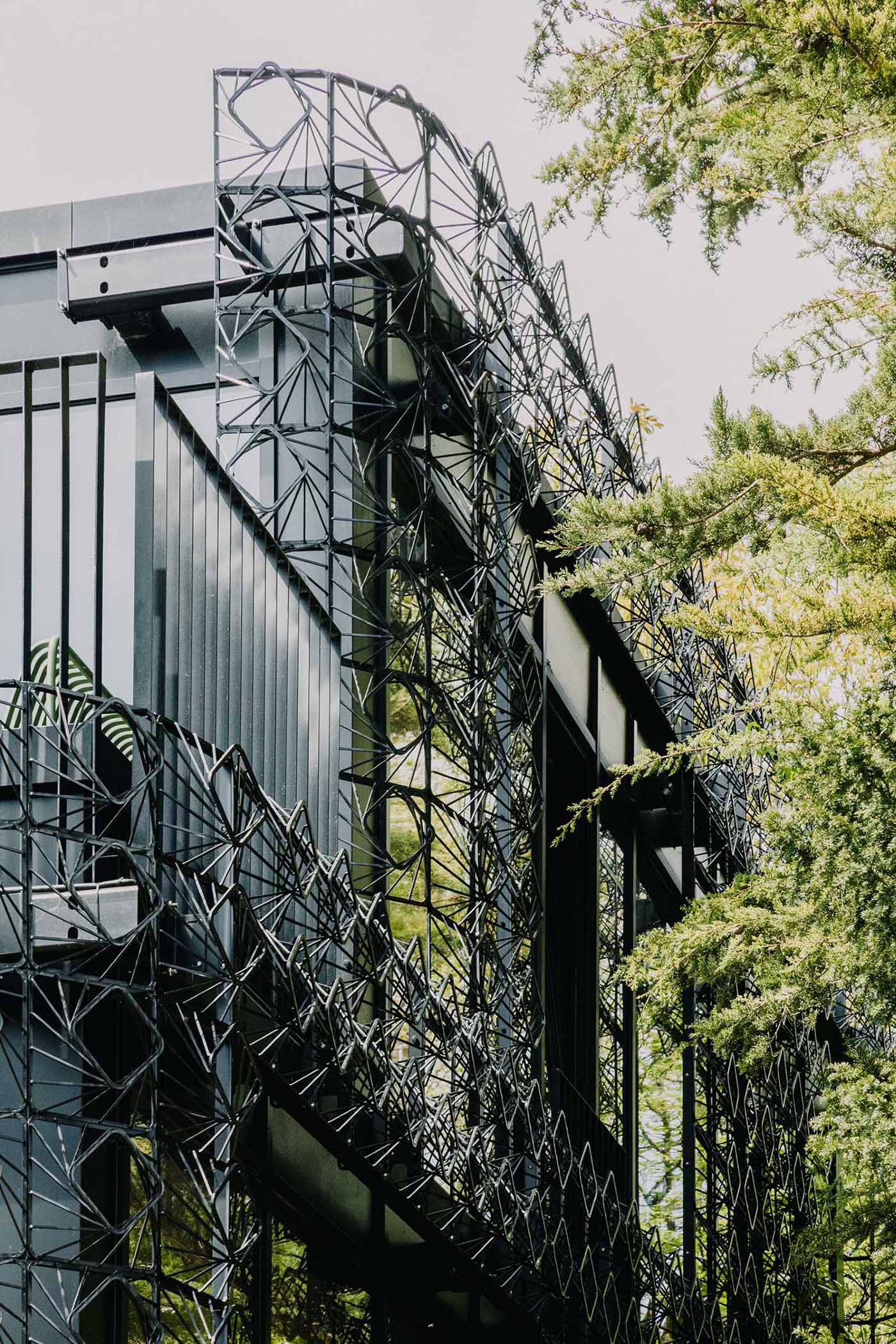 A modern black house with a sculptural facade designed to let plants grow on the exterior over time.