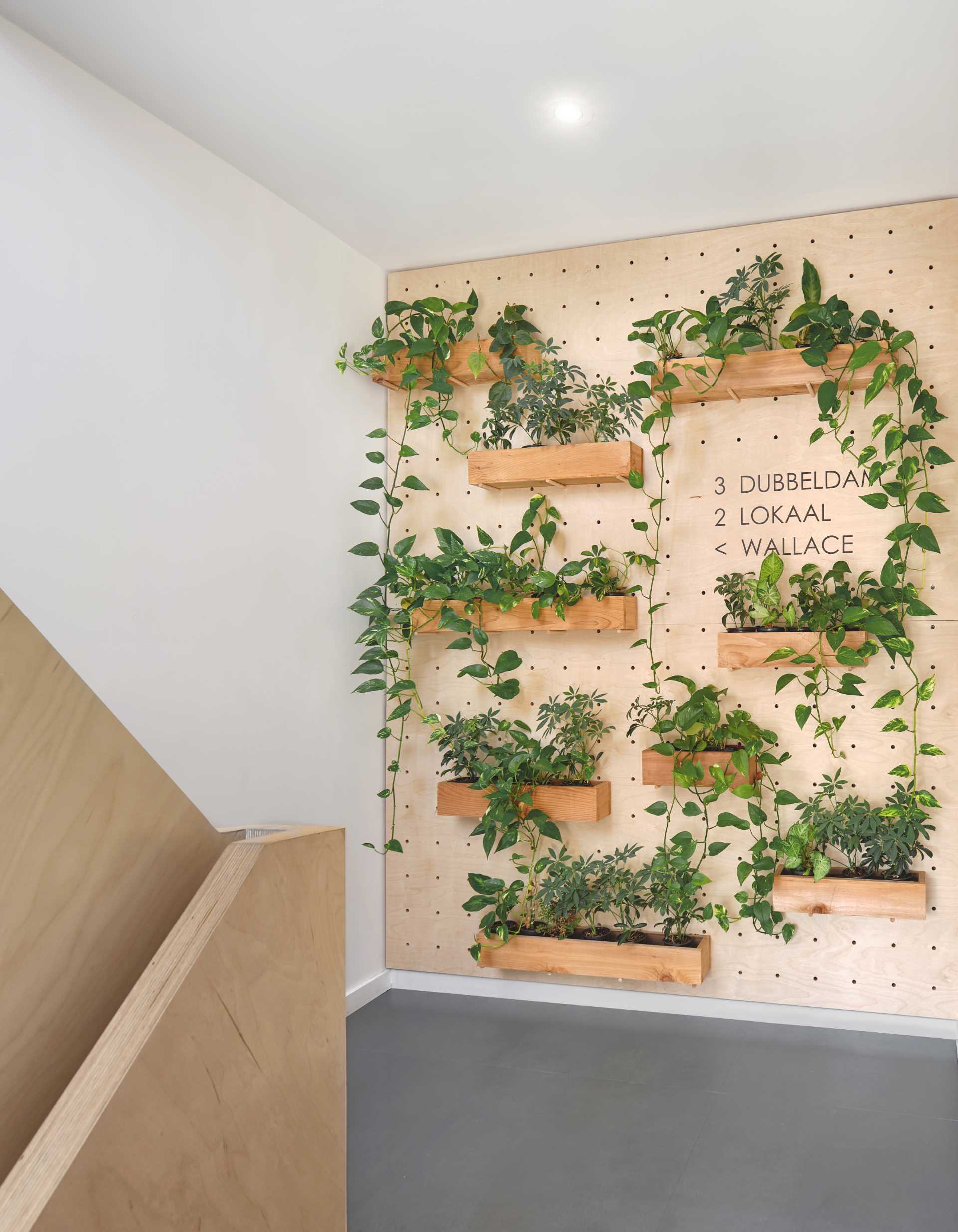 A custom Baltic birch pegboard panel on the first-floor landing not only provides a director for the businesses in the building but also doubles as a thriving green wall populated with lush plants in fragrant cedar boxes.