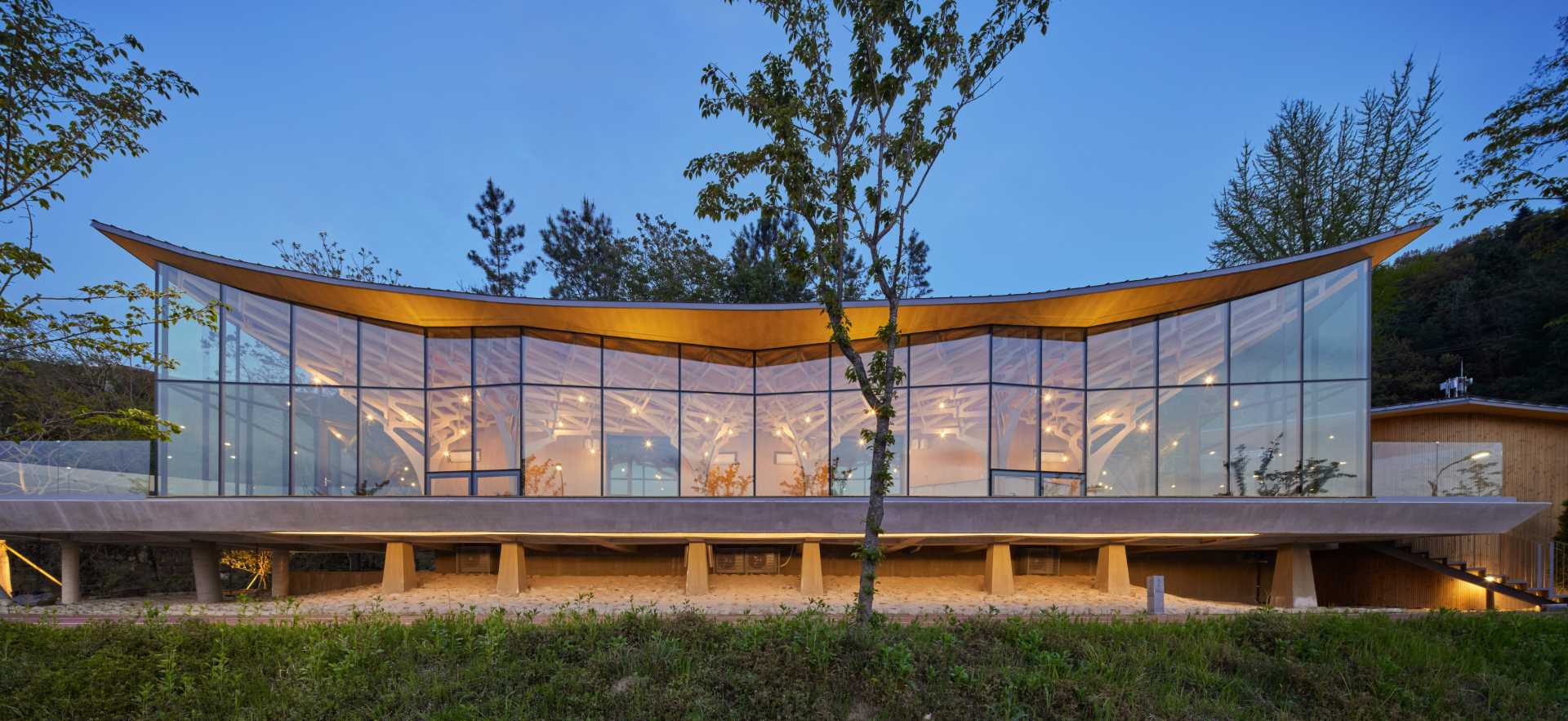 Six tree-like columns showcase wood craftsmanship inside a riverside pavilion with a glass front and curved roof.