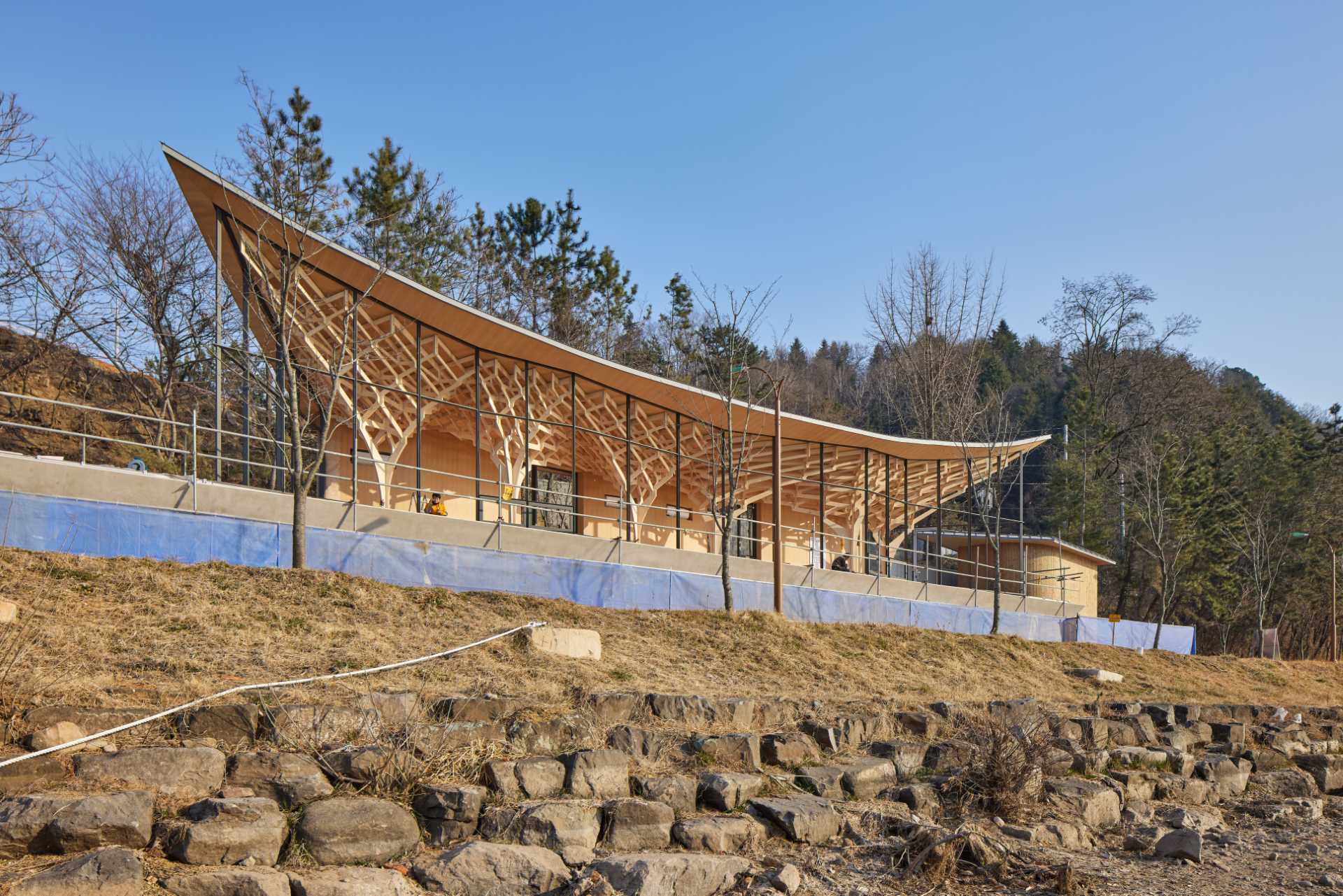 Six tree-like columns showcase wood craftsmanship inside a riverside pavilion with a glass front and curved roof.