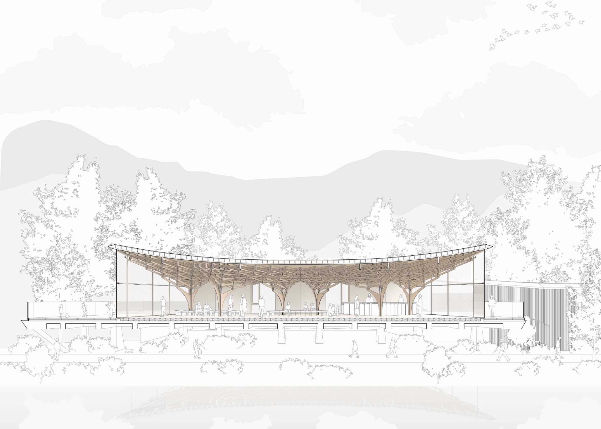Six tree-like columns showcase wood craftsmanship inside a riverside pavilion with a glass front and curved roof.