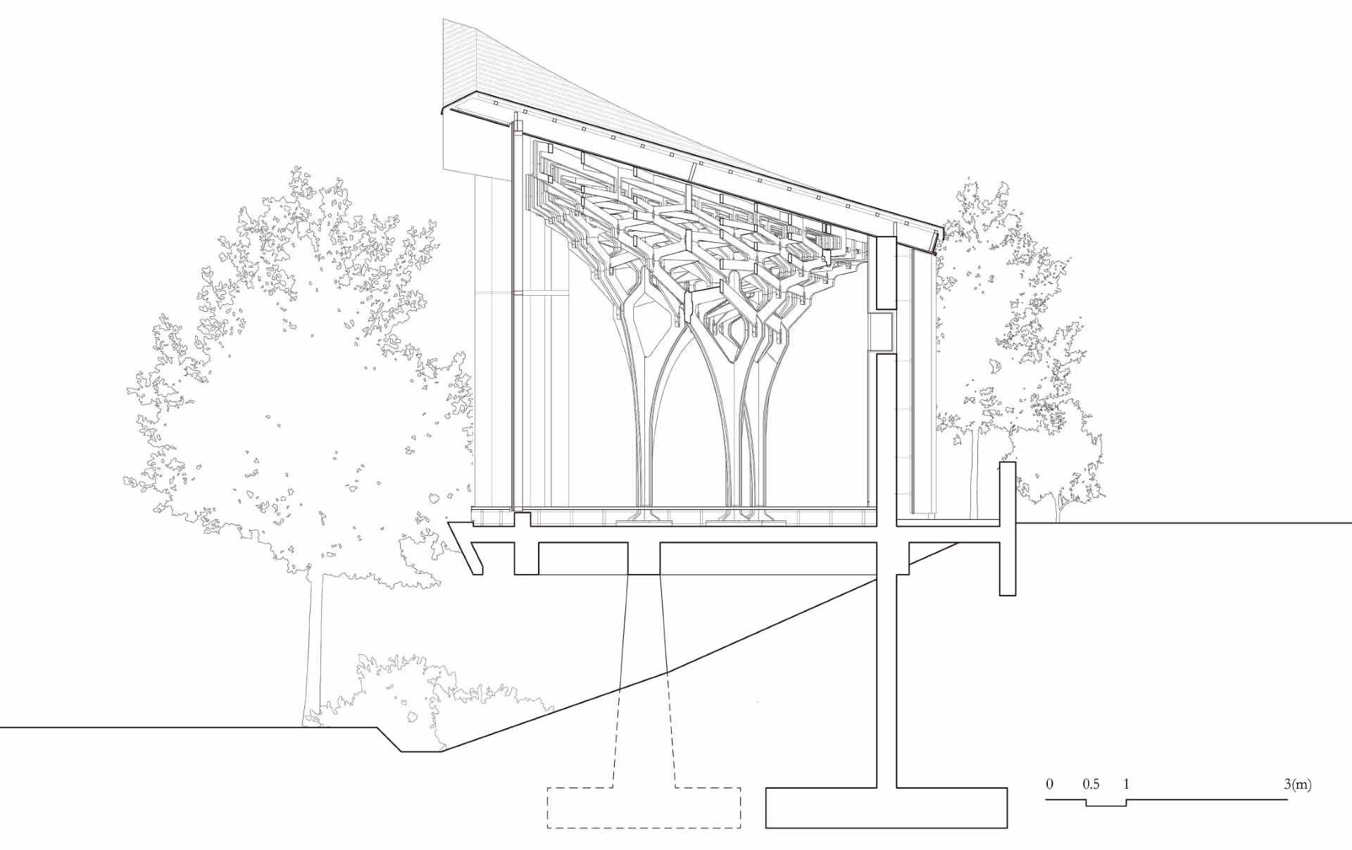 Six tree-like columns showcase wood craftsmanship inside a riverside pavilion with a glass front and curved roof.