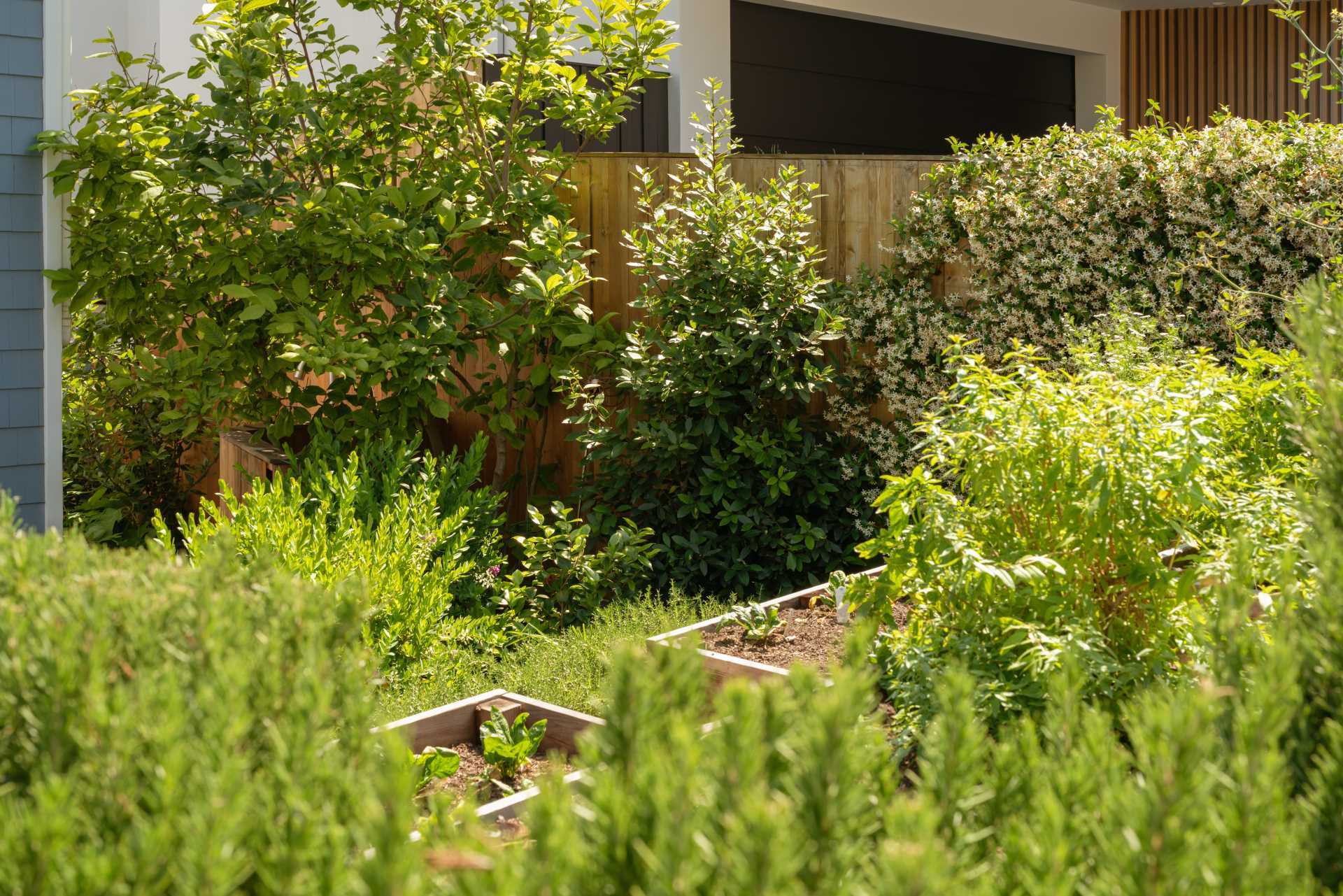 A landscaped garden with raised planters.