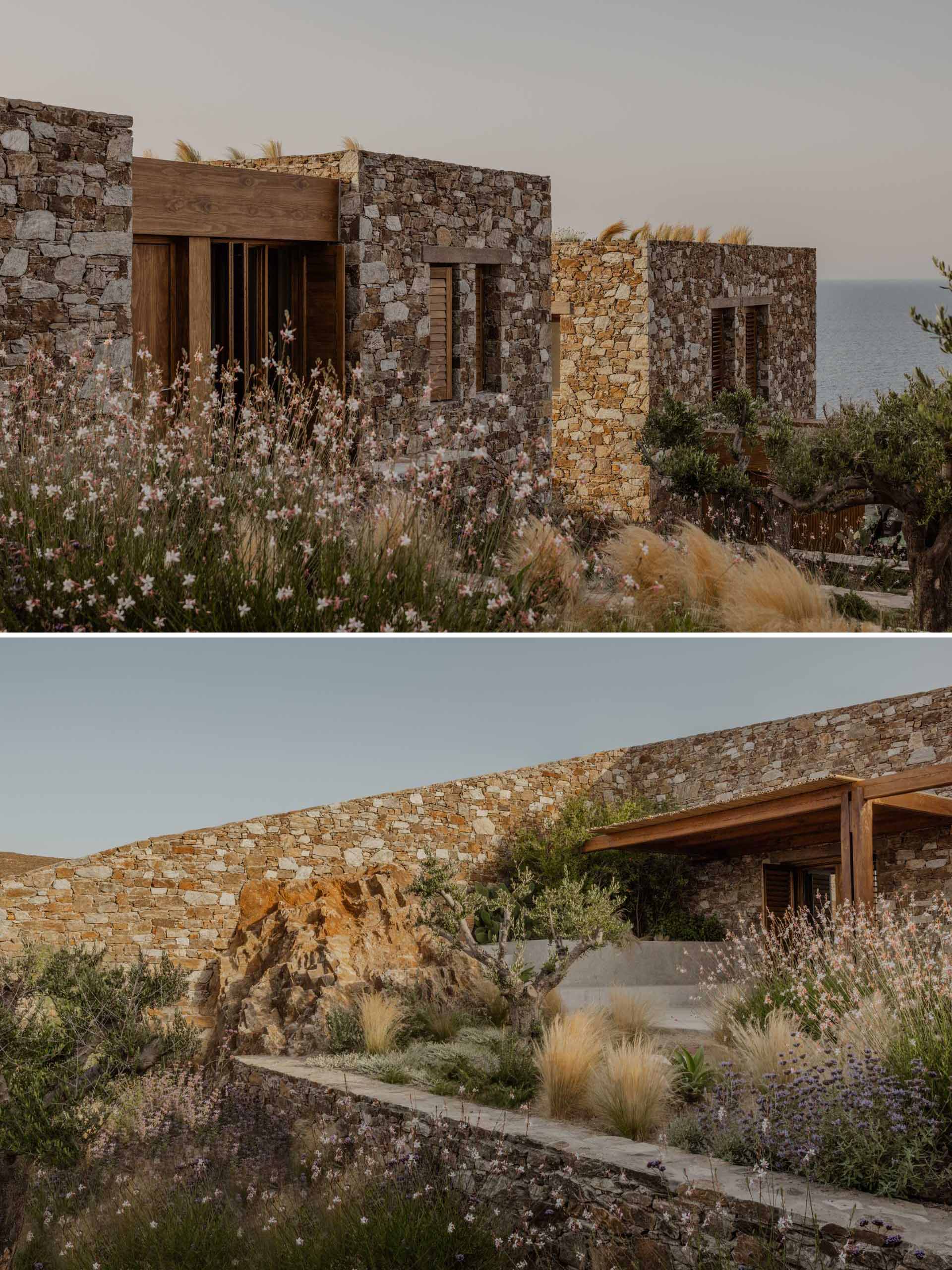 A garden of native species surrounds the home, complementing the green roofs.