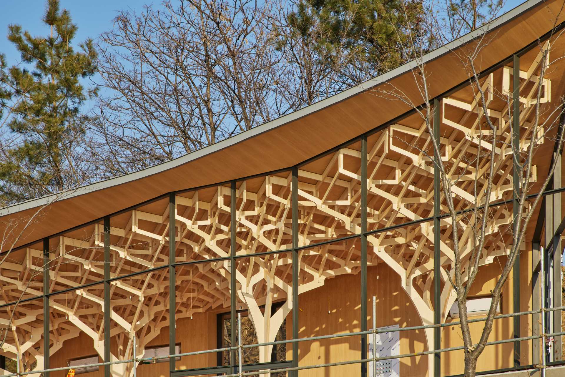 Six tree-like columns showcase wood craftsmanship inside a riverside pavilion with a glass front and curved roof.