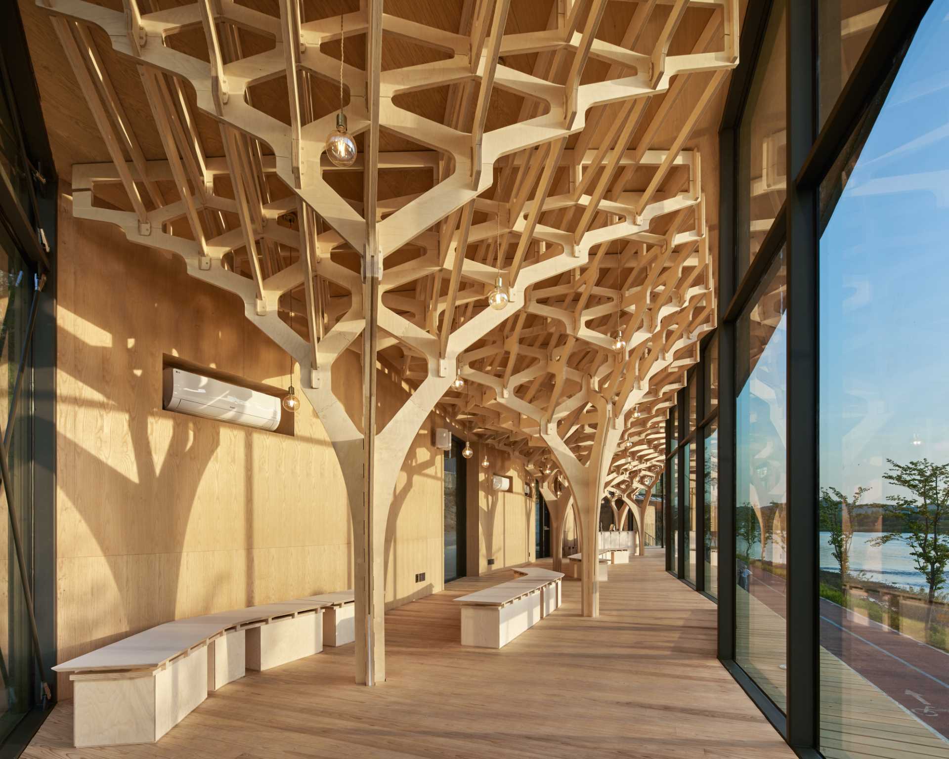 Six tree-like columns showcase wood craftsmanship inside a riverside pavilion with a glass front and curved roof.