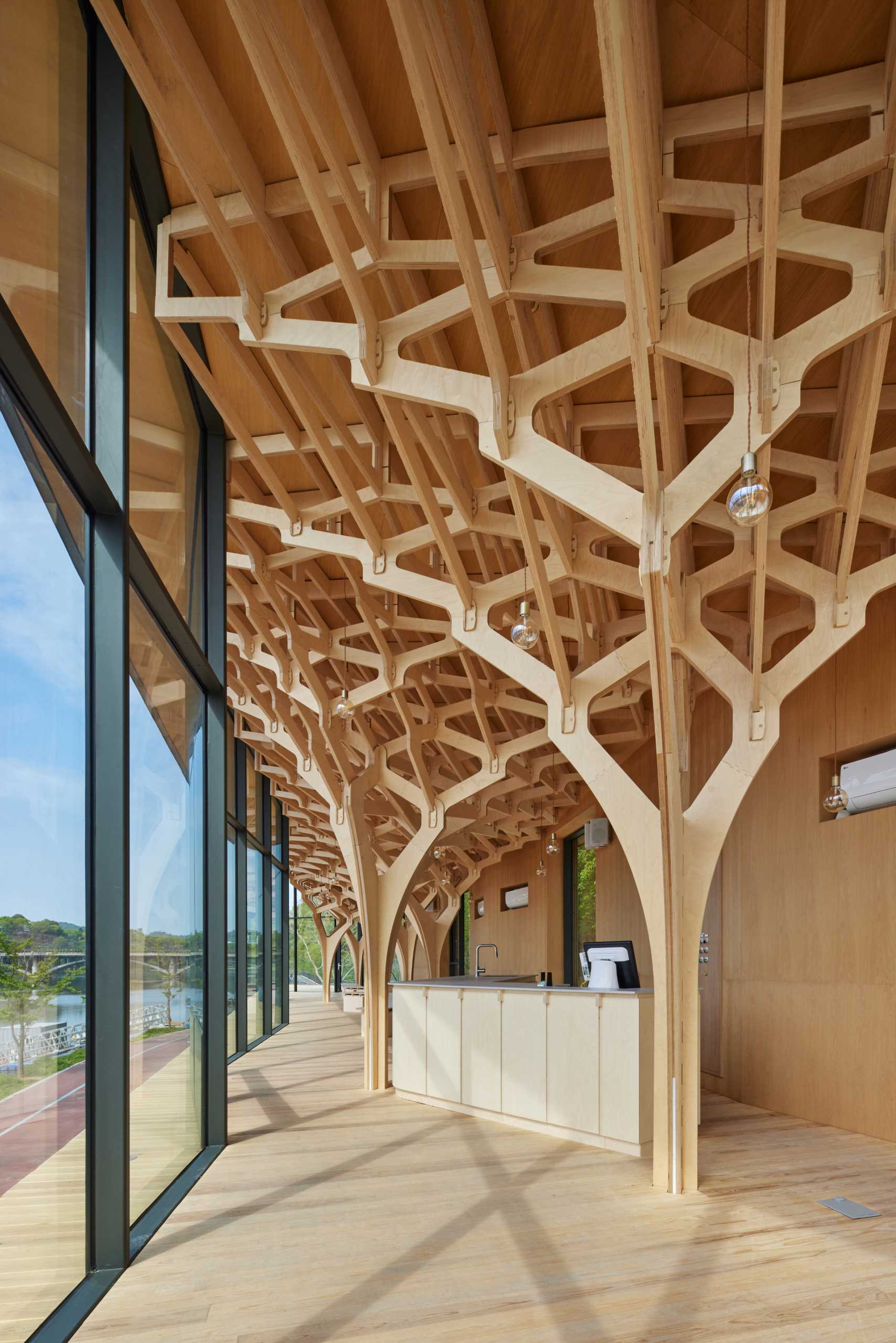 Six tree-like columns showcase wood craftsmanship inside a riverside pavilion with a glass front and curved roof.