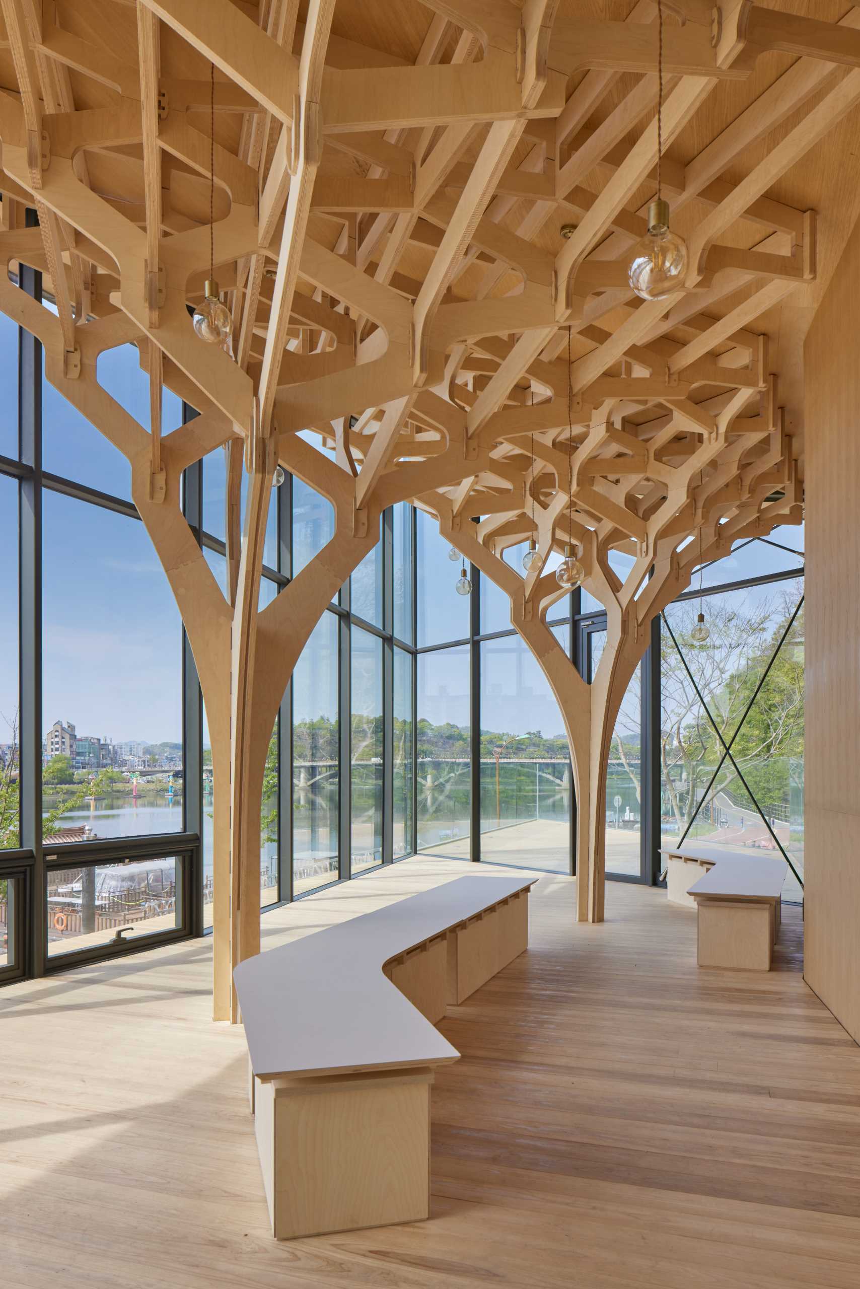 Six tree-like columns showcase wood craftsmanship inside a riverside pavilion with a glass front and curved roof.