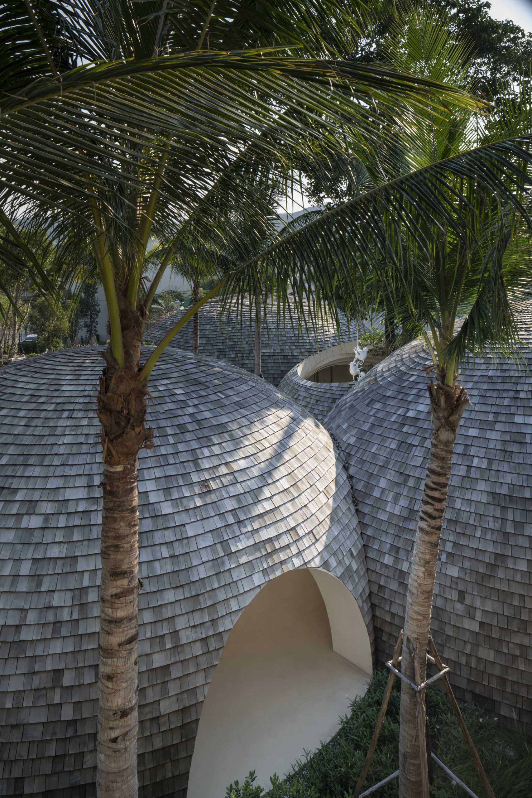 A modern hotel lobby whose design is inspired by the shape and interior of a coconut, and features a shingle-clad exterior.