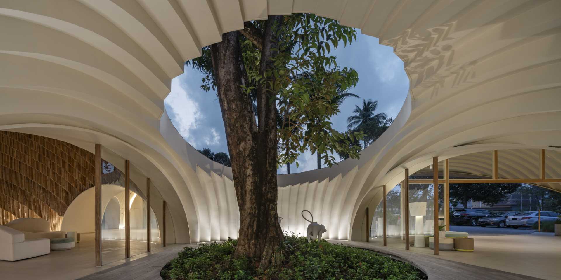 A modern hotel lobby is designed around an existing Java Plum tree with an oculus framing the sky.