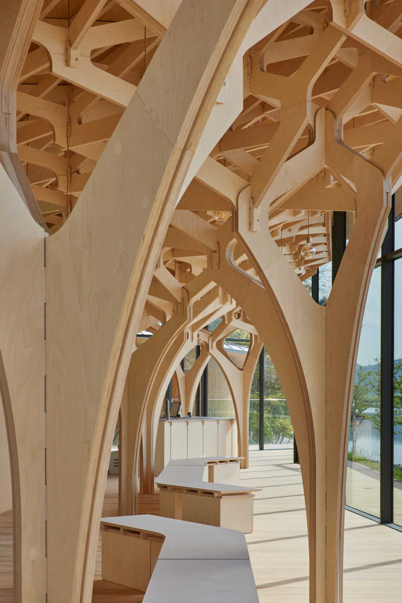 Six tree-like columns showcase wood craftsmanship inside a riverside pavilion with a glass front and curved roof.