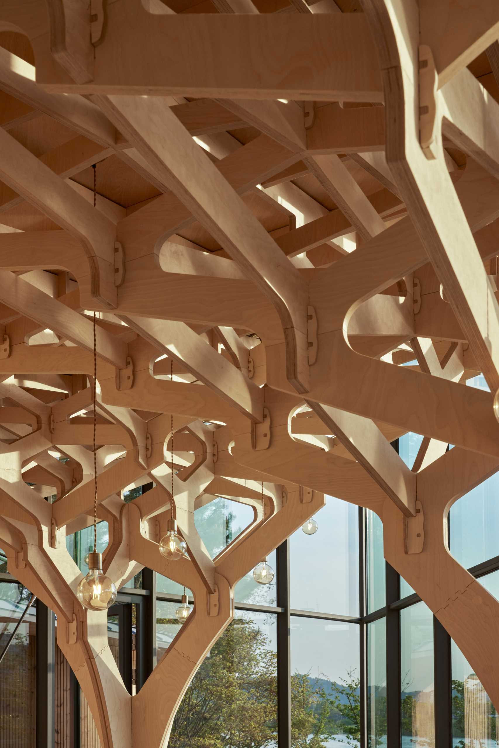 Six tree-like columns showcase wood craftsmanship inside a riverside pavilion with a glass front and curved roof.