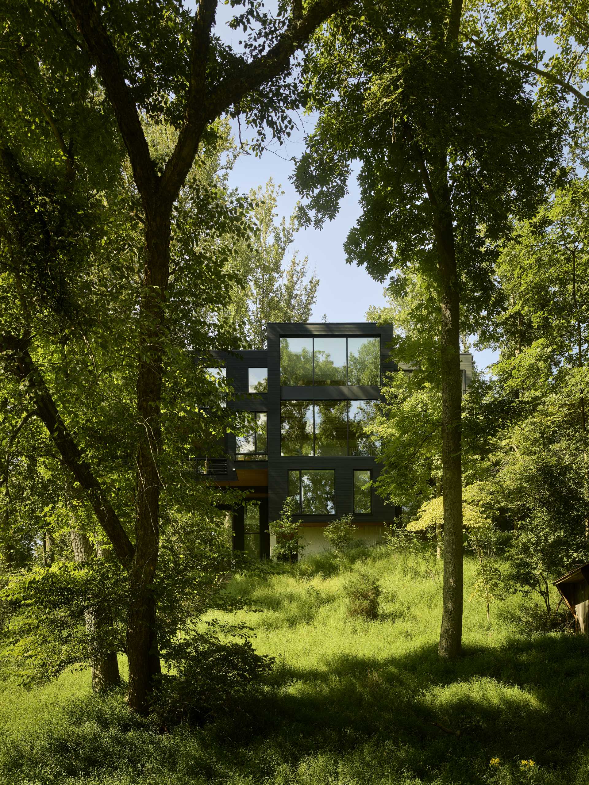 A modern home with an abundance of windows, is also surrounded by forest.