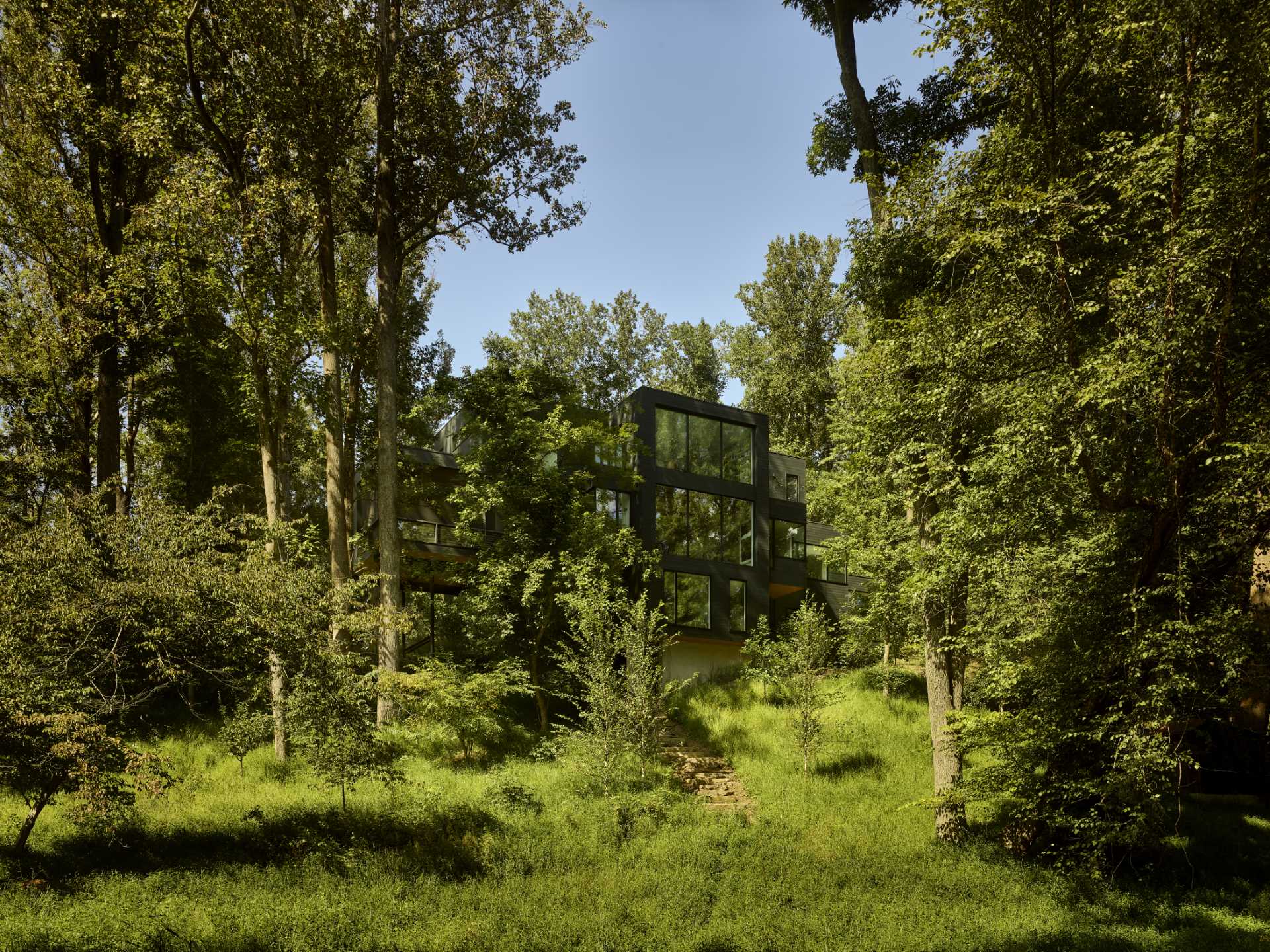 A modern home with an abundance of windows, is also surrounded by forest.