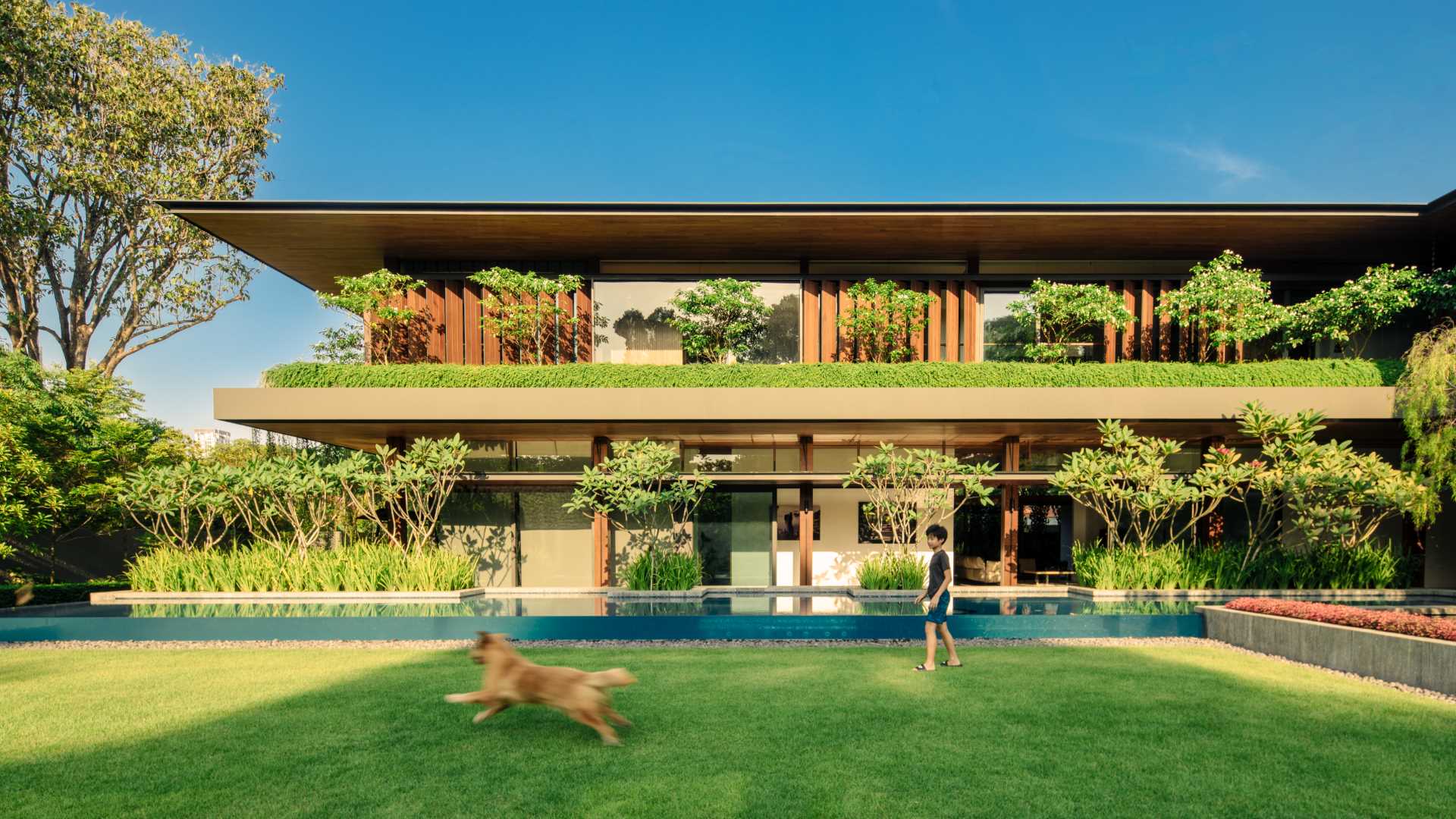 A modern home in Singapore surrounded by plants, that also includes a 25-meter-long swimming pool.