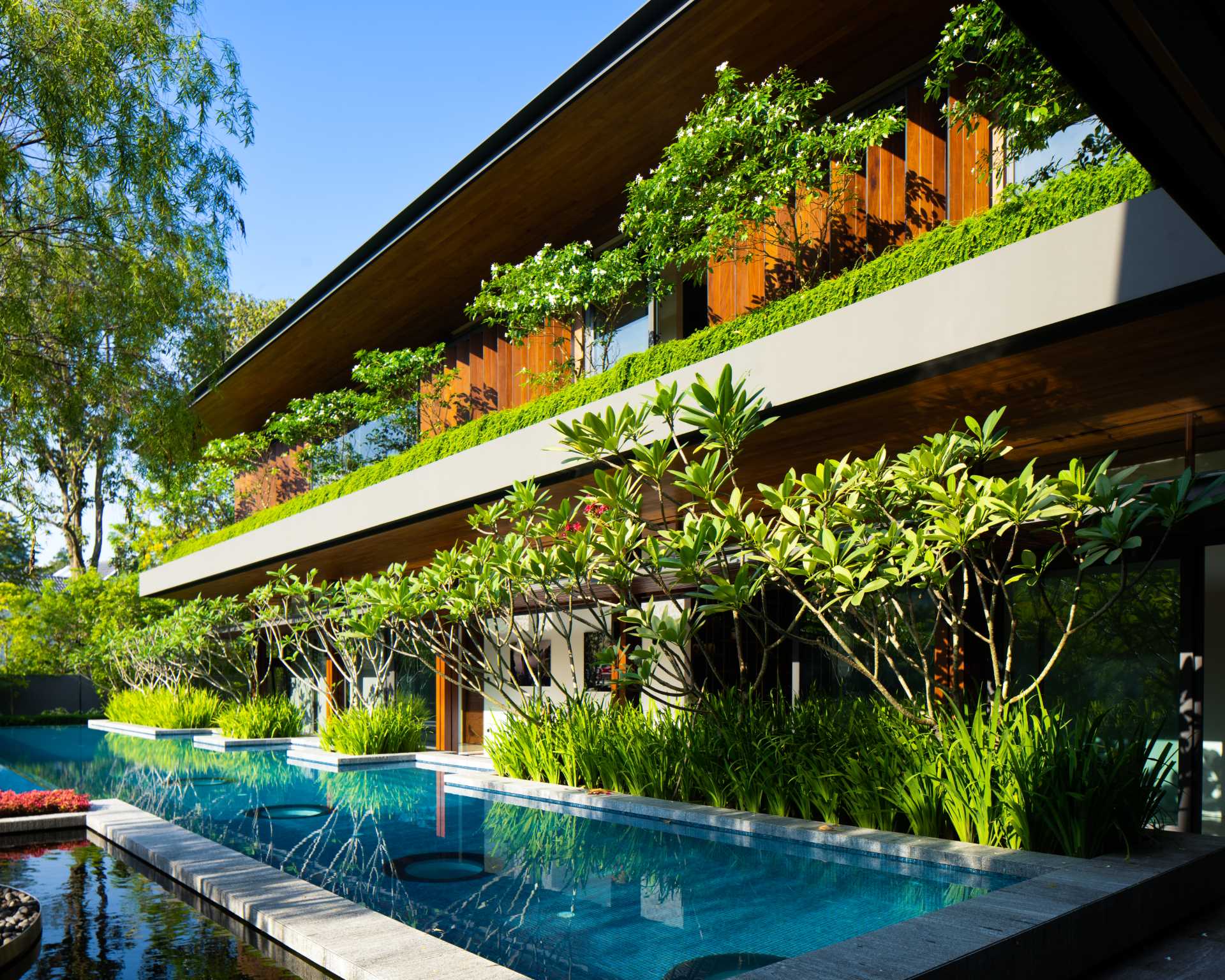 A modern home in Singapore surrounded by plants.