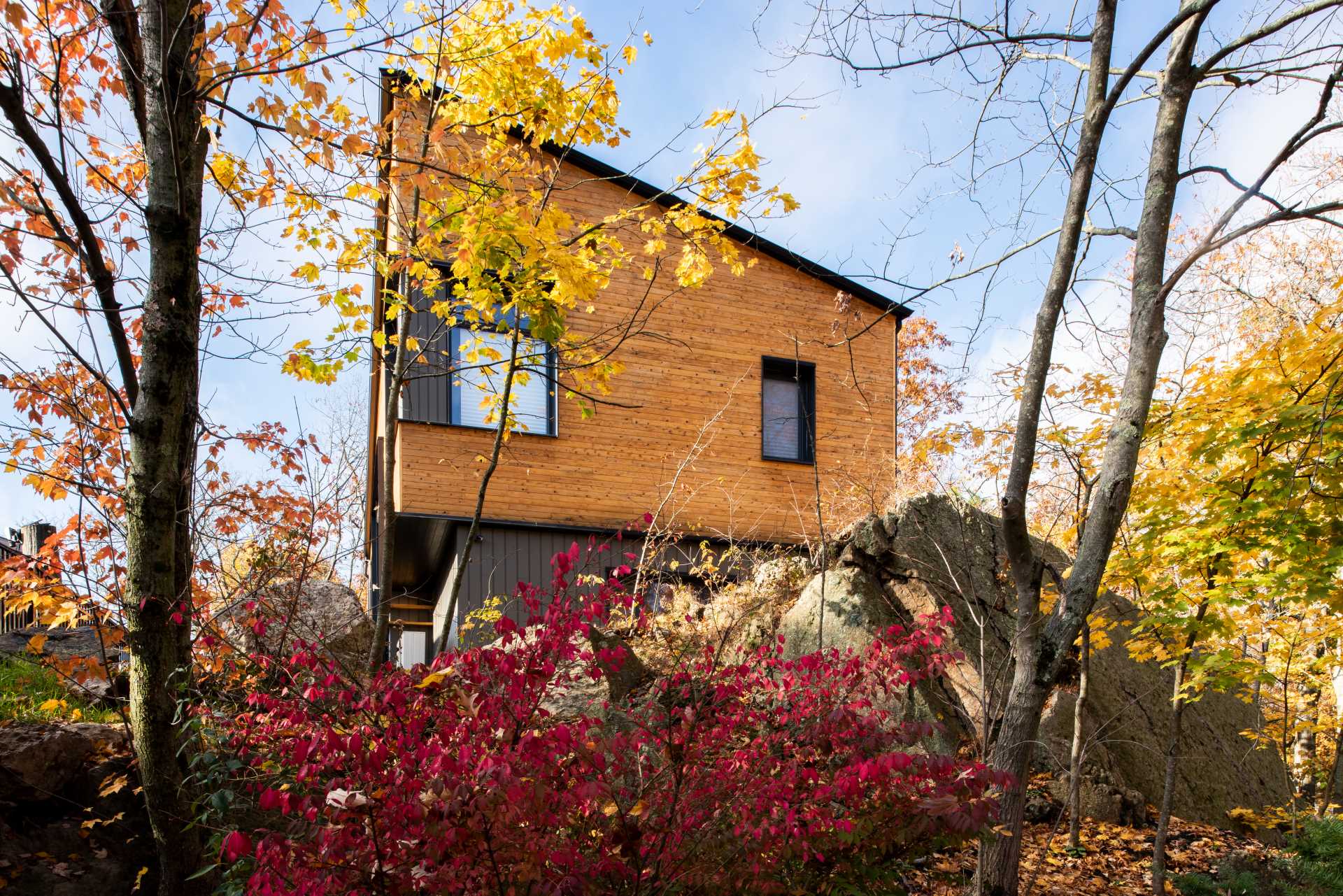 A modern home features an angled roof line, a clear-finished white cedar siding on the upper volume, and a painted siding made from materials recovered from manufacturing by-products on the lower volume.